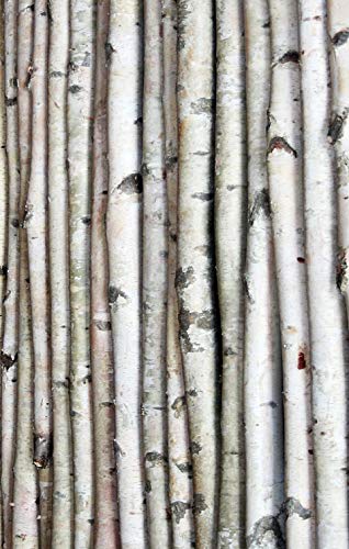 Wilson 5ft Decorative Birch Poles - Natural Wood Sticks for DIY Crafts, Home Decor & Garden Projects (Set of 4 Poles, 1.5-2.5 inch Diameter) - Perfect for Wedding Centerpieces, Rustic Decor & Plant Supports