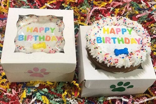 Happy Birthday Dog Cake with Colorful Confetti - Delicious & Safe Pet Treat for Dog Birthday Parties & Celebrations