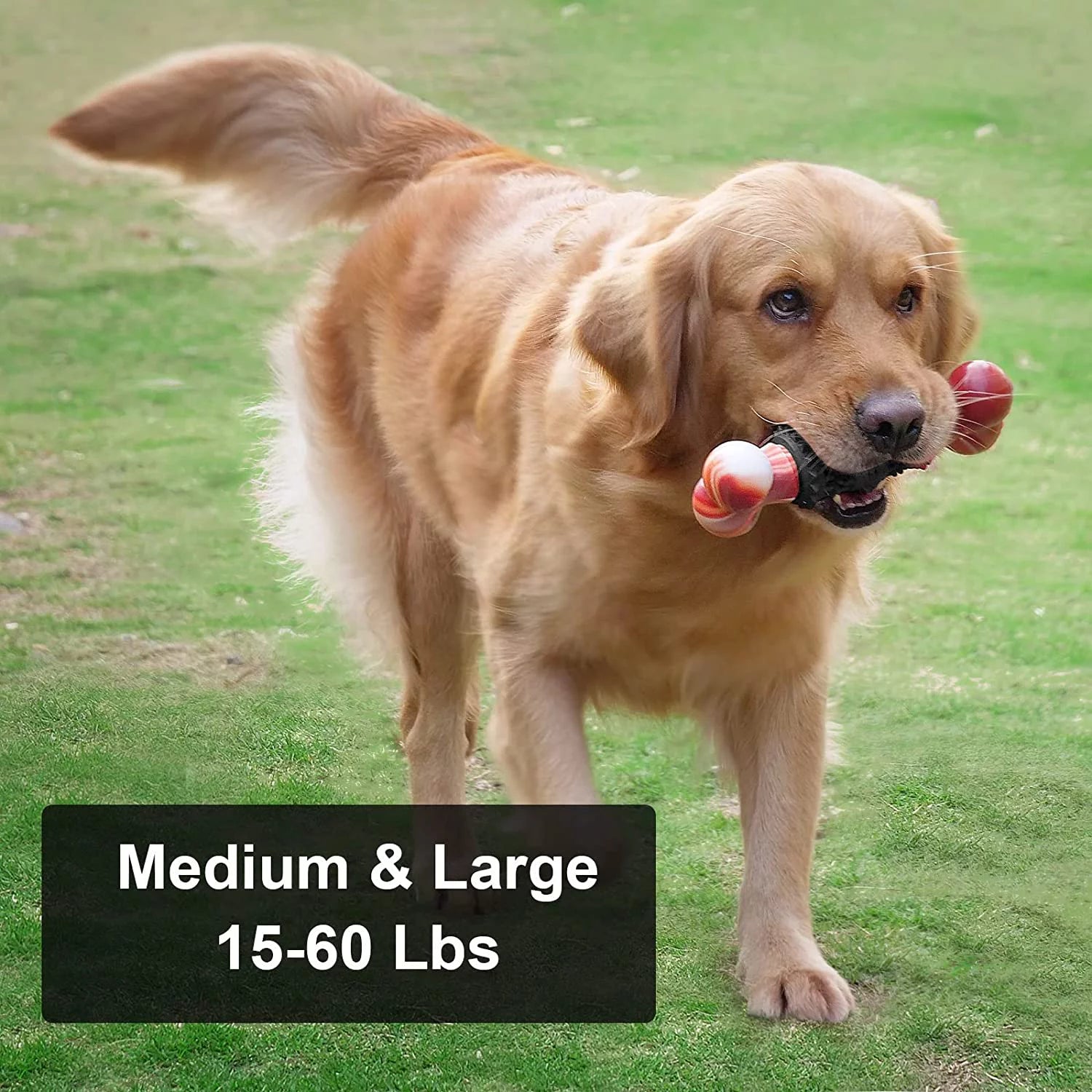 Durable Dog Toys for Aggressive Chewers - Interactive Puzzle Chew Toys for Puppies & Adult Dogs - Tough Rubber Chew Toy for Birthday Gifts - Perfect for Indoor Play & Training