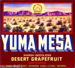 Vintage Arizona Grapefruit Citrus Fruit Crate Art Print Magnet - Yuma Mesa #2 Collectible Fridge Magnet for Kitchen Decor, Office, or Gift