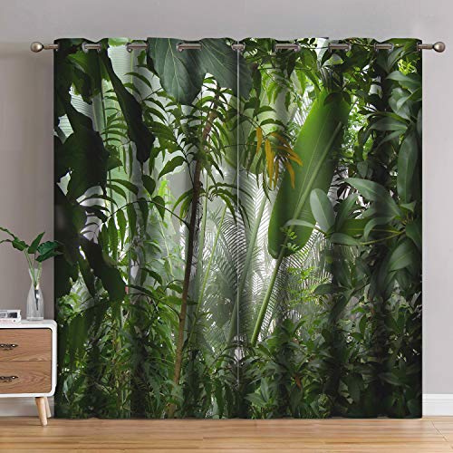 Rainforest