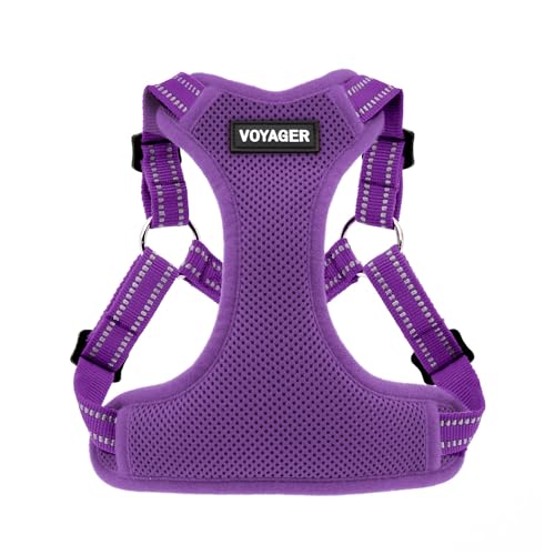 Harness (Purple)