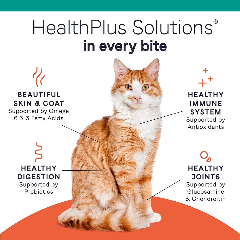 Premium Grain-Free Cat Food Bundle - CANIDAE Healthy Weight Tuna Recipe Dry Food (5lb) + Wet Food Variety Pack (24x2.46oz) with Tuna, Chicken & Mackerel - Perfect for Indoor Cats & Weight Management