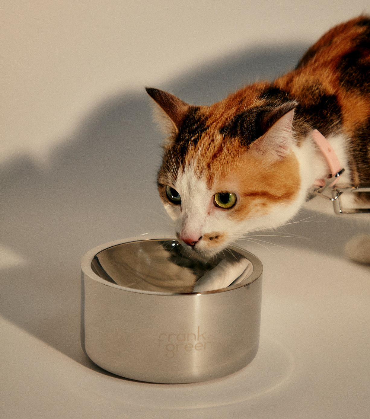 Premium Stainless Steel Dog Bowl - Medium Size, Non-Slip Pet Food & Water Dish for Large Breeds - Ideal for Home, Travel & Outdoor Use