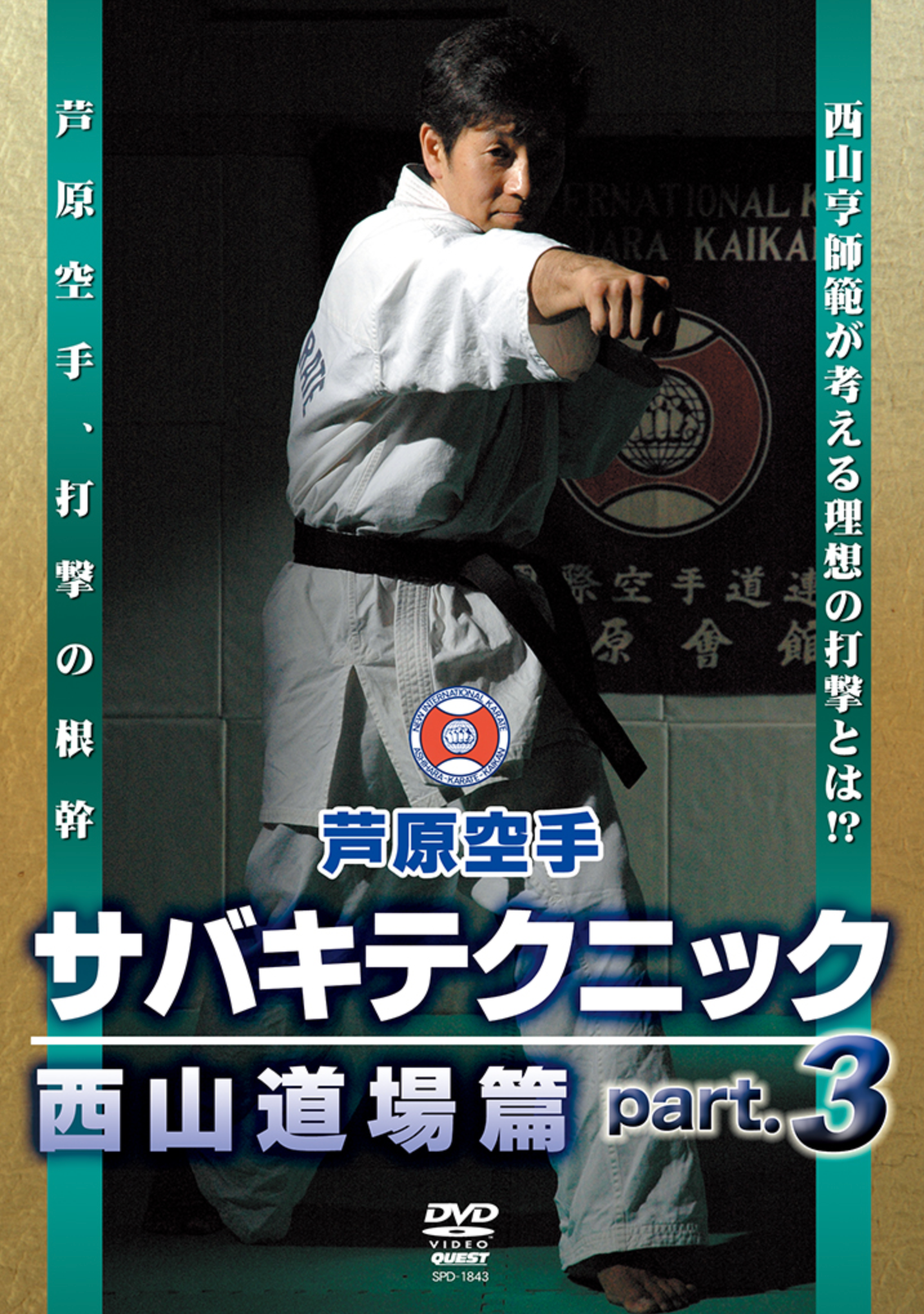 Ashihara Kaikan Sabaki Technique Vol 3 DVD by Toru Nishiyama - Authentic Karate Training for Self-Defense & Martial Arts Practice