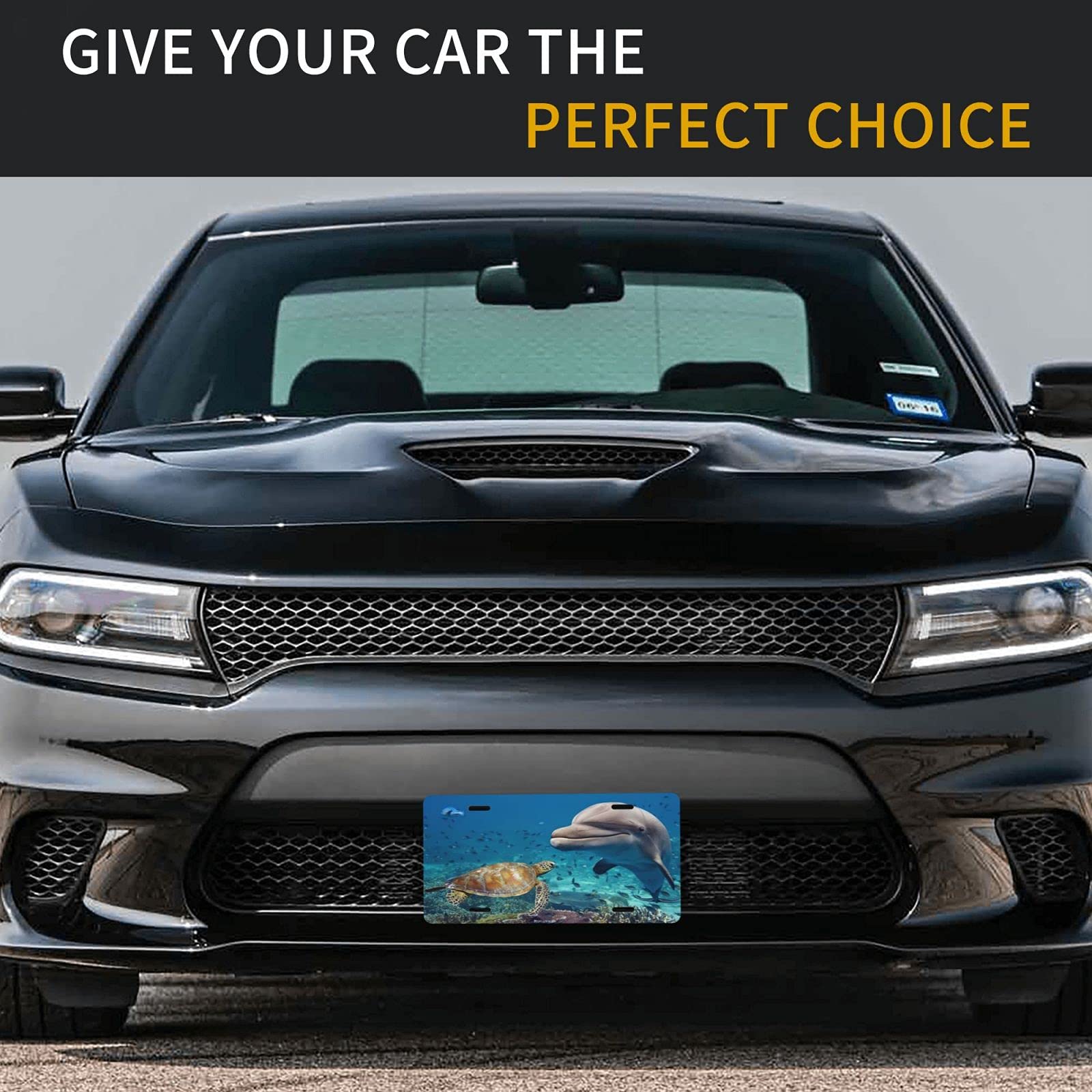 Sea Turtle & Beluga Whale Metal License Plate Cover - 6x12 Inch Aluminum Vanity Car Tag for Men & Women - Perfect for Beach Lovers, Marine Life Enthusiasts & Coastal Road Trips