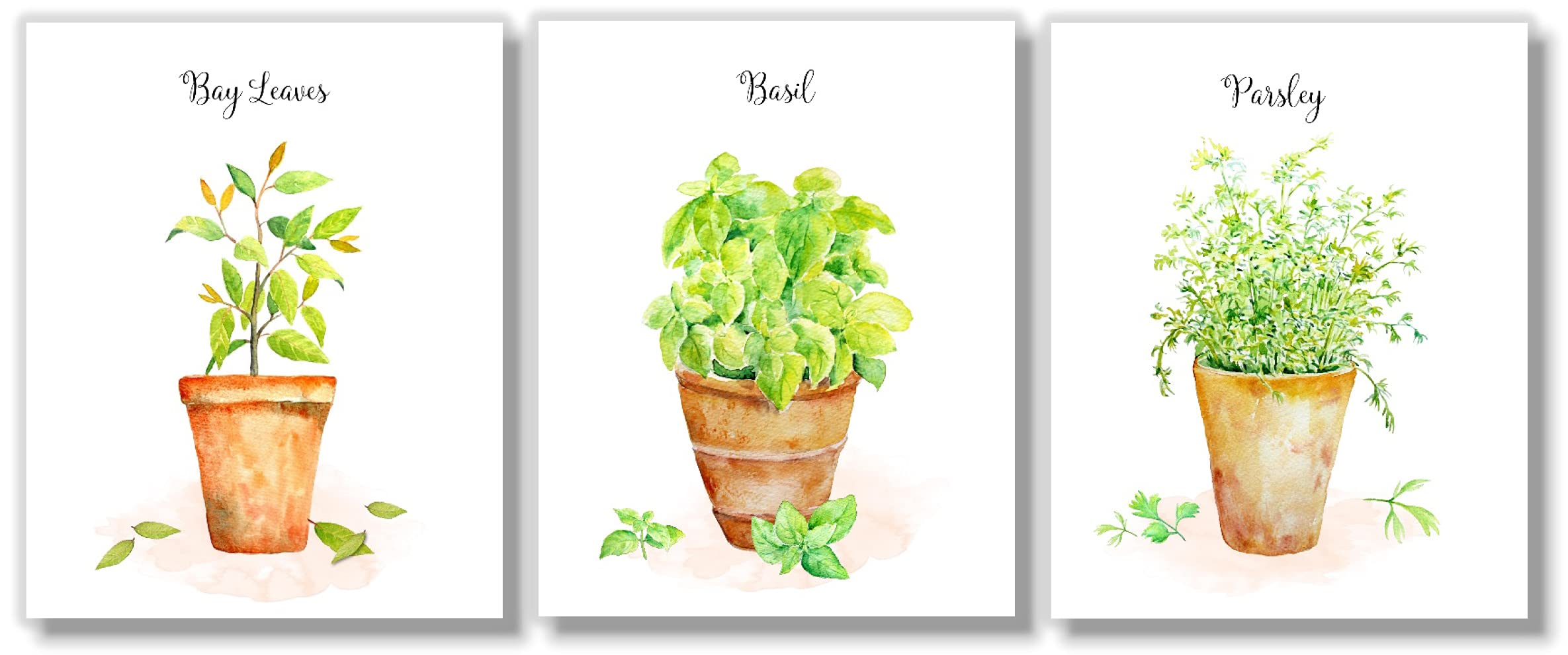 Farmhouse Kitchen Wall Art - Set of 7 Herb Prints in Pots, 8x10 Unframed Botanical Prints for Home Decor | Perfect for Country Style Kitchens, Dining Rooms & Cottage Interiors