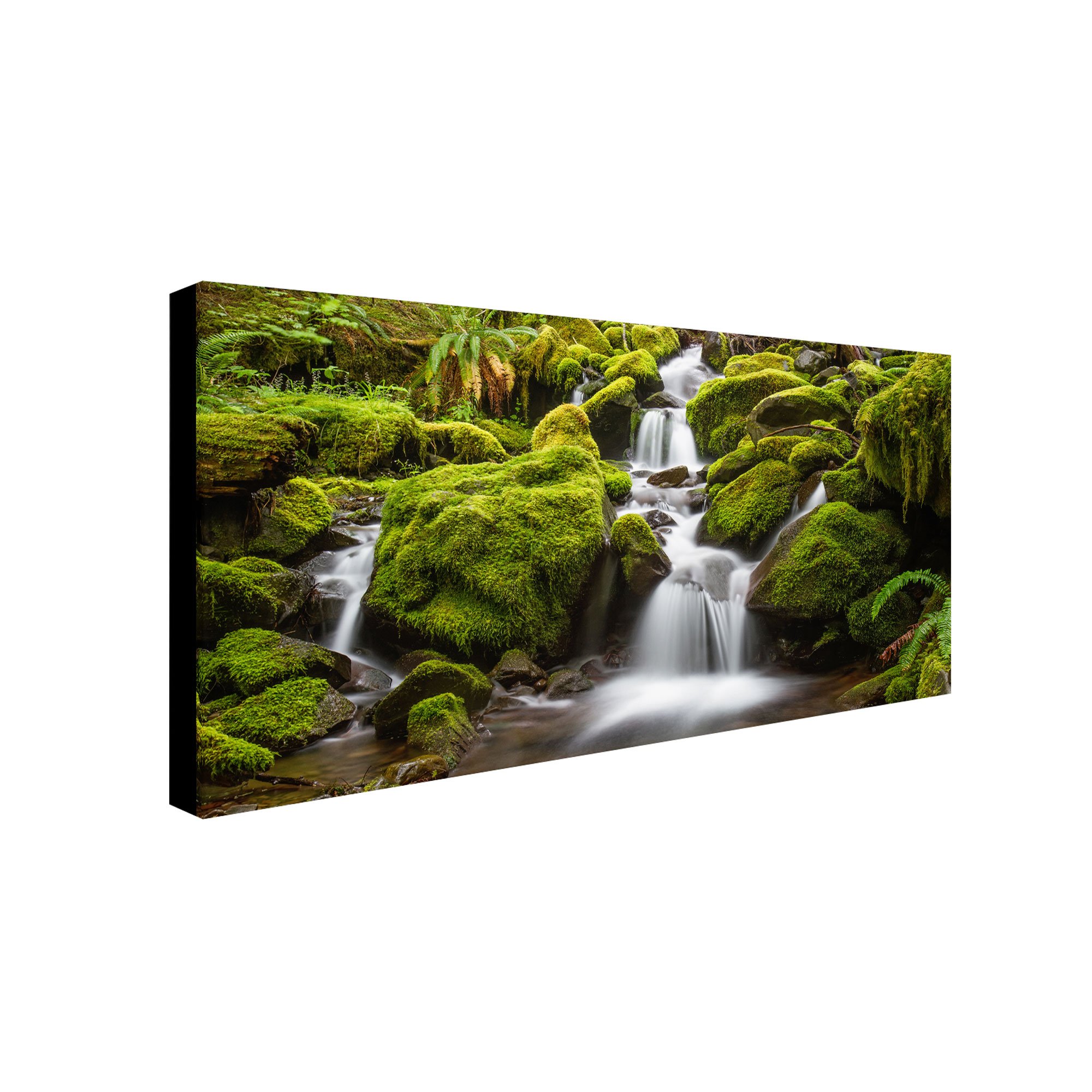 Pierre Leclerc Green Moss Stream Landscape Art Print - 24x47 Inch Framed Canvas Wall Decor for Living Room, Bedroom & Office | Trademark Fine Art Collection