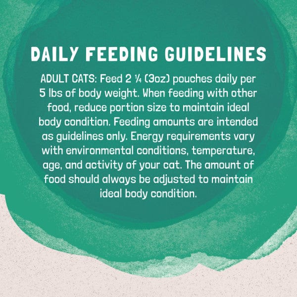Natural Balance Platefulls Chicken & Salmon Recipe Morsels in Gravy Food Pouch - Grain-Free Wet Dog Food for Small & Medium Breeds - Perfect for Training, Travel & Mealtime Rewards