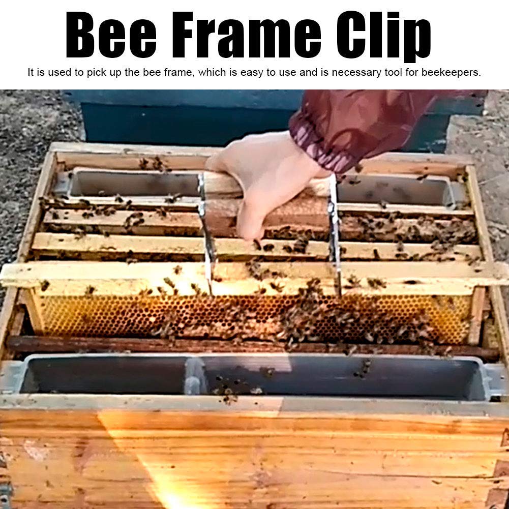 Stainless Steel Beehive Clip - Bee Frame Holder & Lifter Tool for Beekeepers | Durable Apiculture Equipment for Hive Maintenance & Honey Harvesting | Perfect for Beekeeping, Frame Inspection & Colony Management