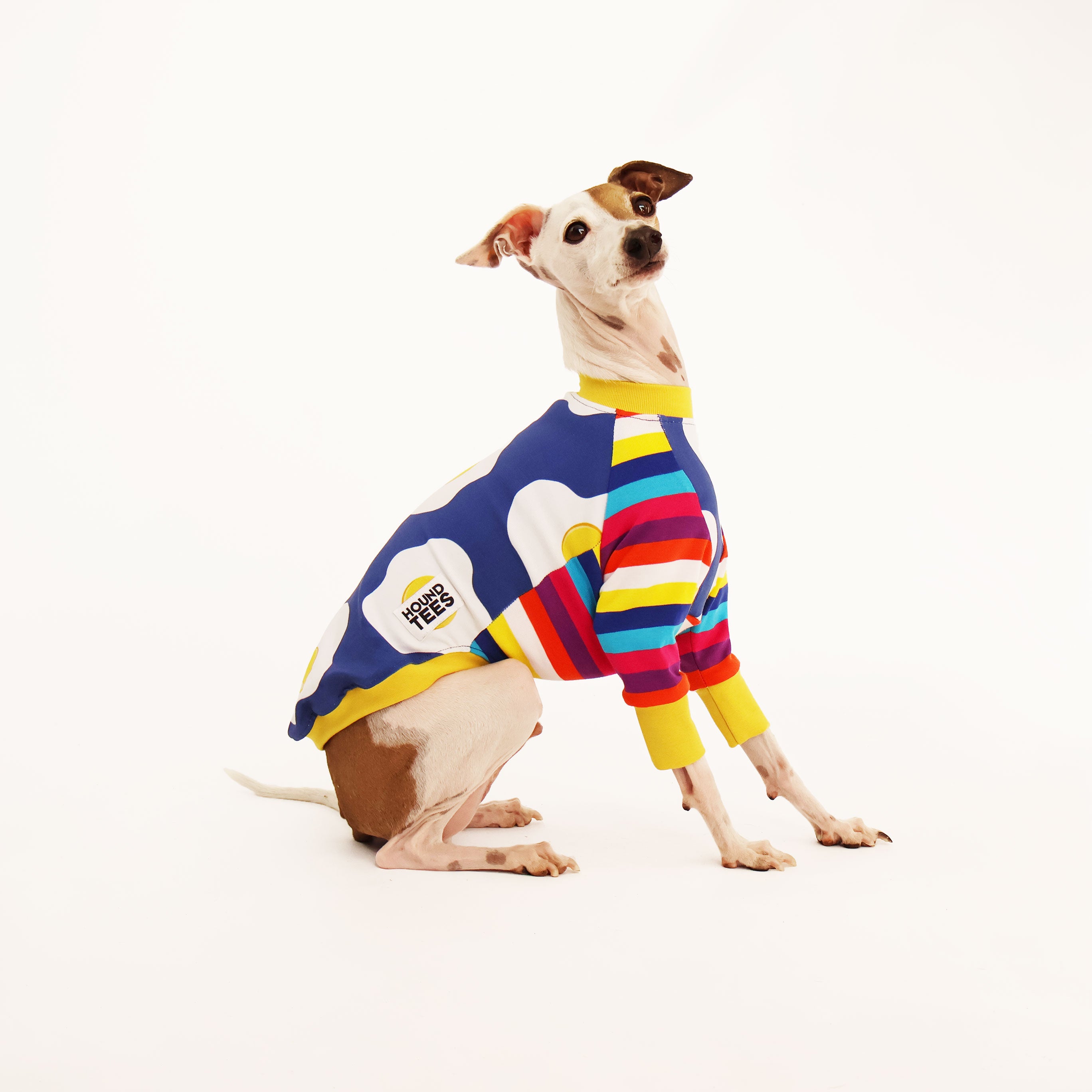 Eggy Italian Greyhound Long Sleeve Dog T-Shirt - Cute Hound Apparel for Pet Lovers | Perfect for Casual Wear, Dog Walks & Matching Outfits