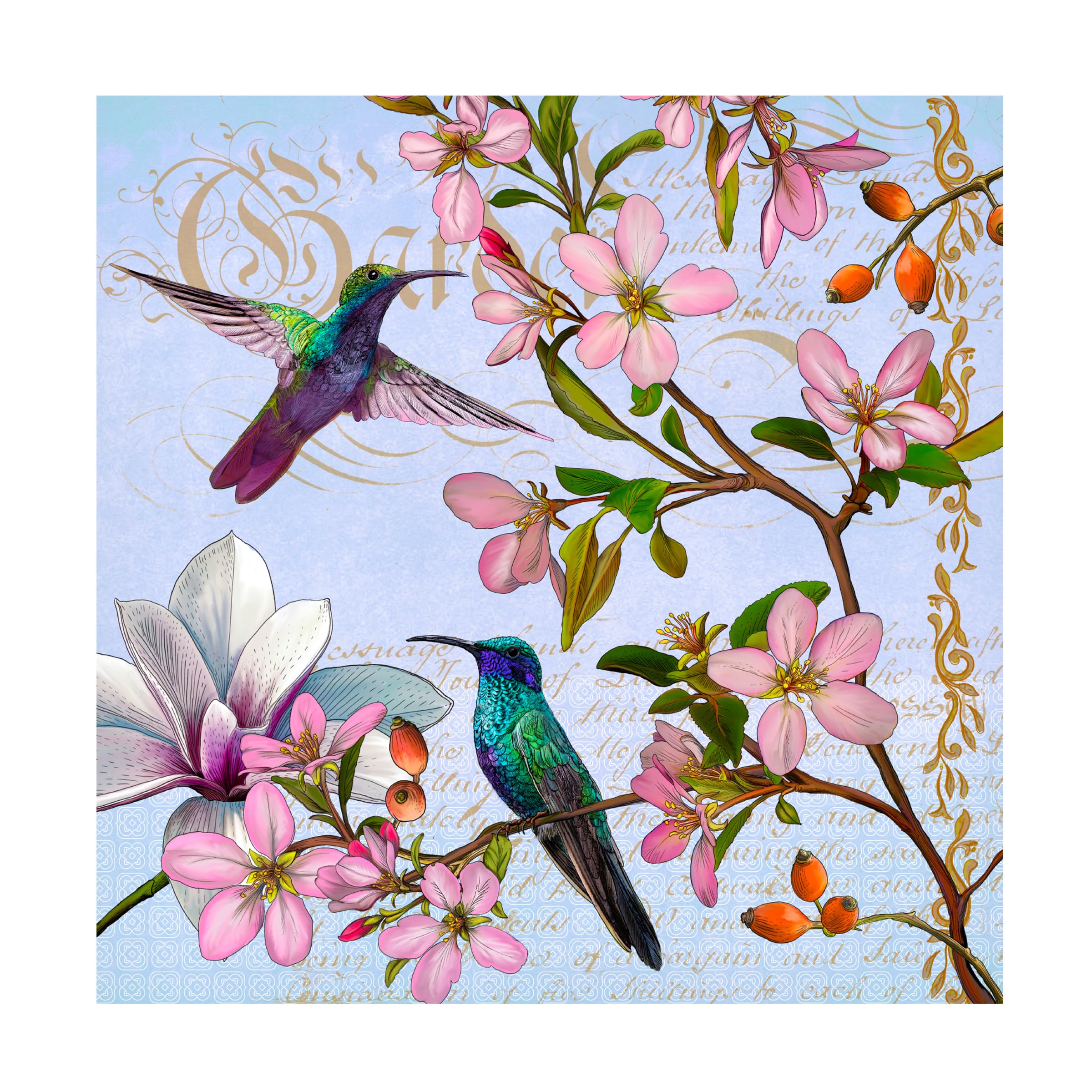 Trademark Fine Art 'Hummingbird Botanical' Canvas Wall Art Print - Vibrant Floral & Bird Painting for Living Room, Bedroom, Office Decor