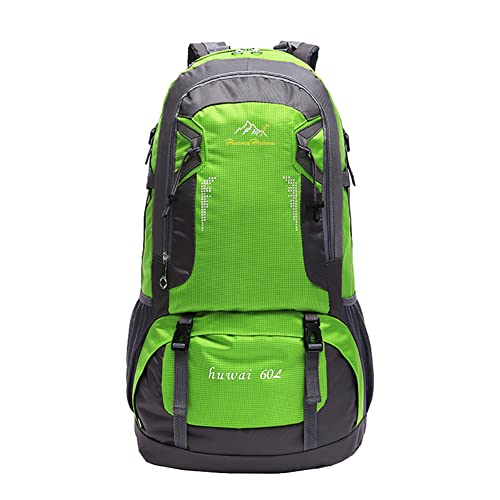 60l/Green