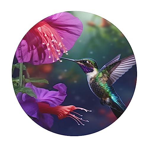 Hummingbirds Fuchsia Flowers