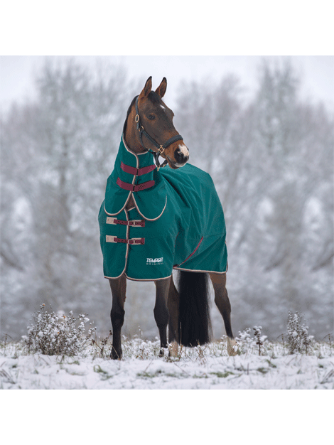 Shires Tempest Medium Weight Turnout Rug & Neck Cover - Waterproof Horse Blanket for Winter Riding and Stable Use