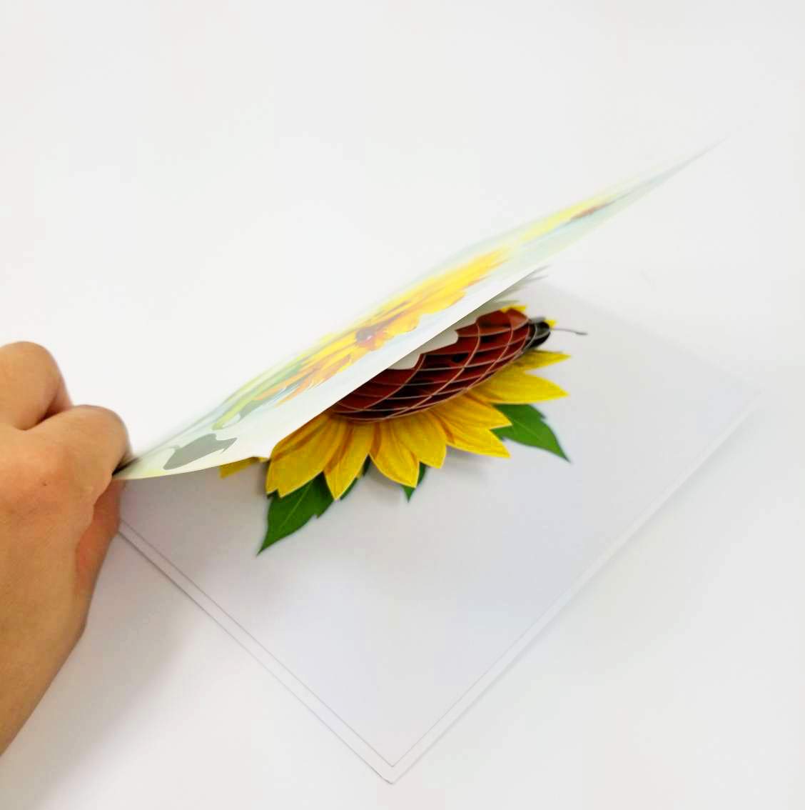 3D Ladybug Pop Up Greeting Card - Birthday Card for Kids, Mother's Day Gift, Just Because Card for Son or Daughter | Perfect for Birthday Parties, Classroom Celebrations & Special Occasions