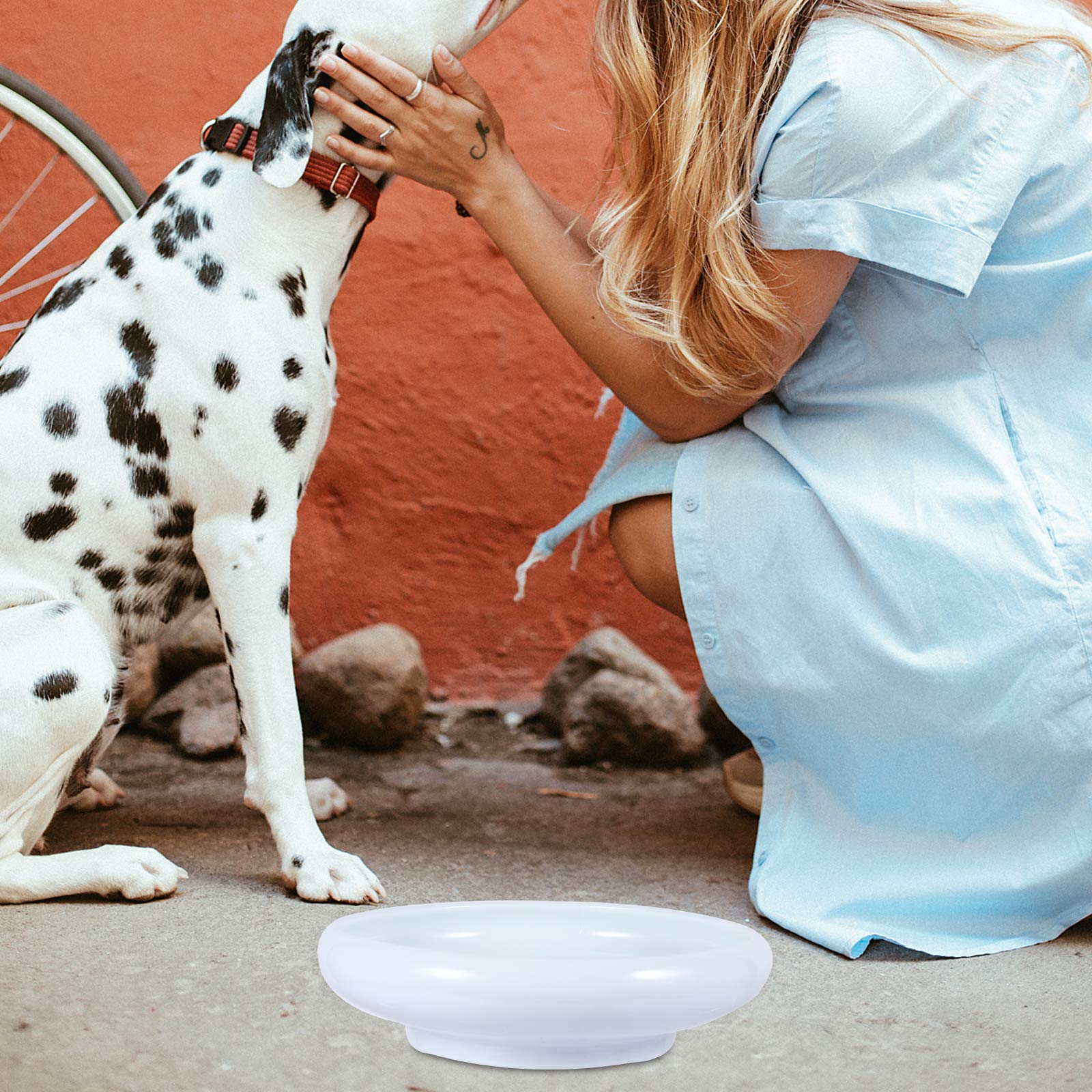 Premium Ceramic Cat Bowl Set - Non-Slip Pet Food & Water Bowls for Cats - Durable & Easy Clean Cat Feeding Dishes - Perfect for Home, Travel, or Office Use