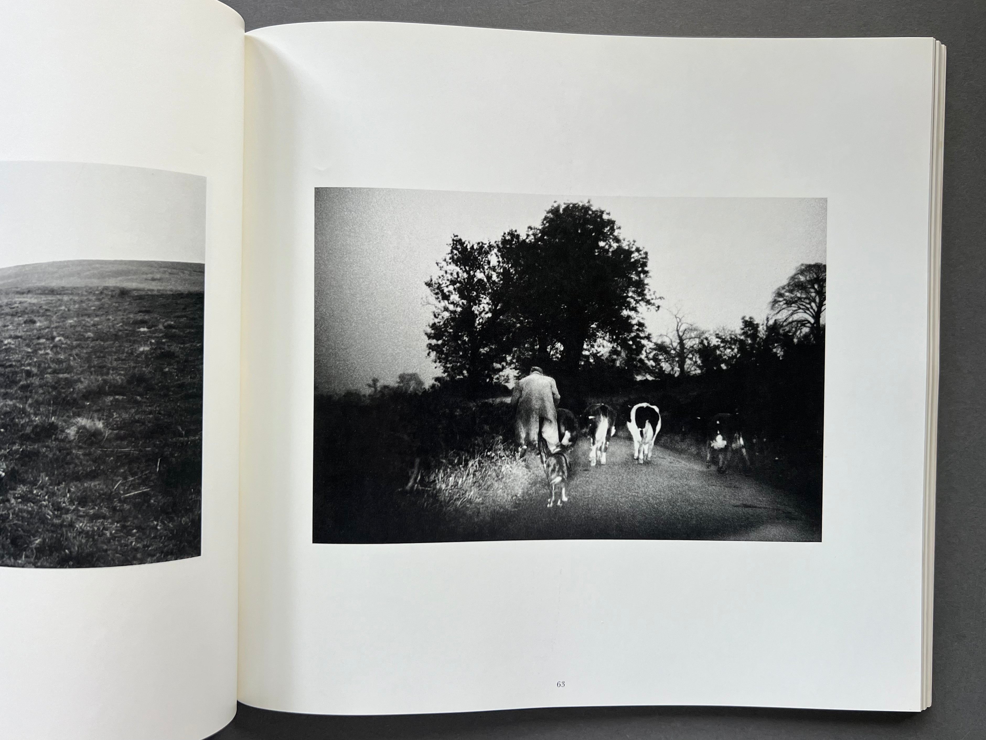 Bruce Davidson Photography Prints - Iconic American Street & Documentary Photos for Home & Office Decor | Perfect for Art Lovers, Collectors & Interior Design