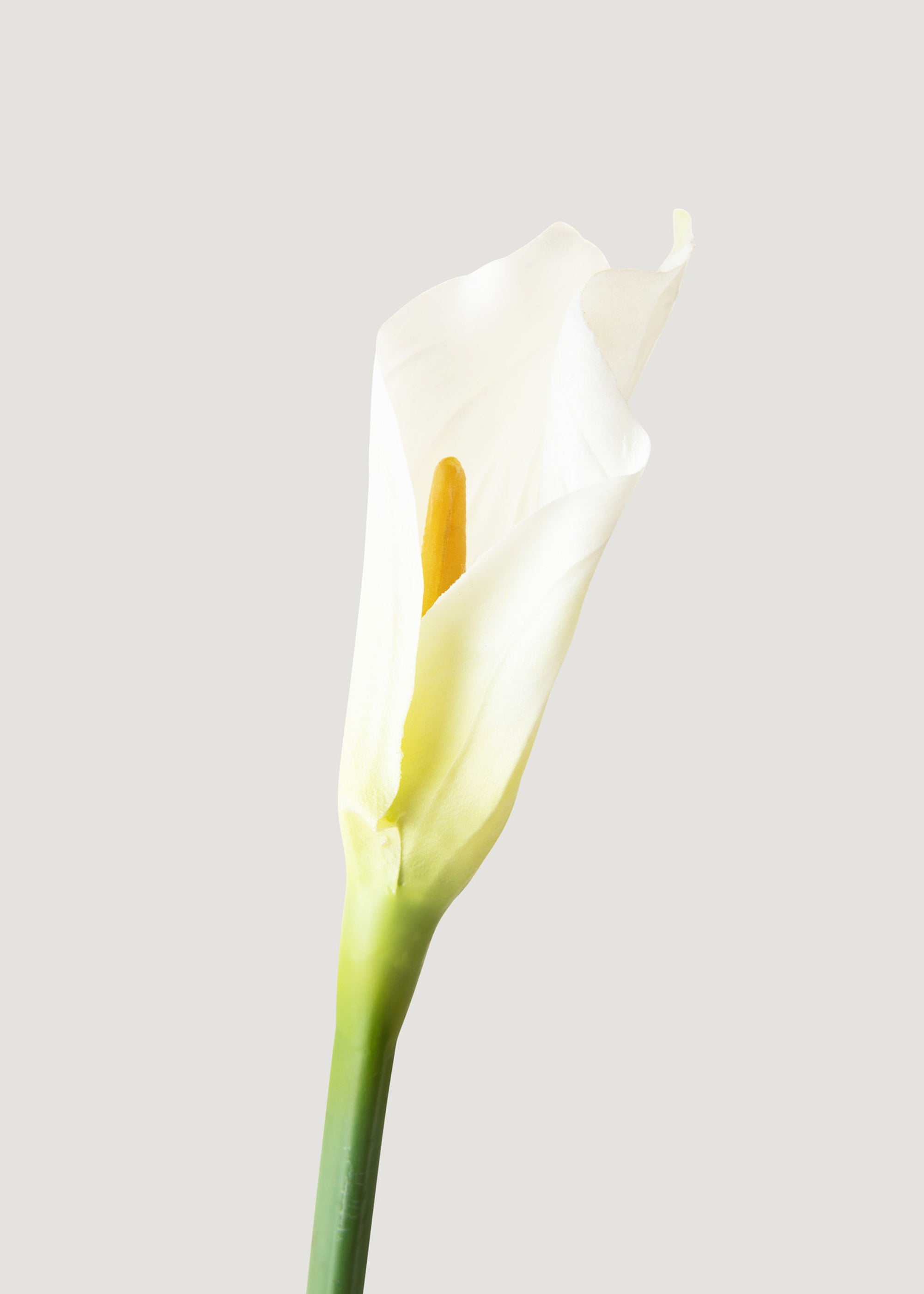 12 Pack Artificial Calla Lily Stems Cream White 37