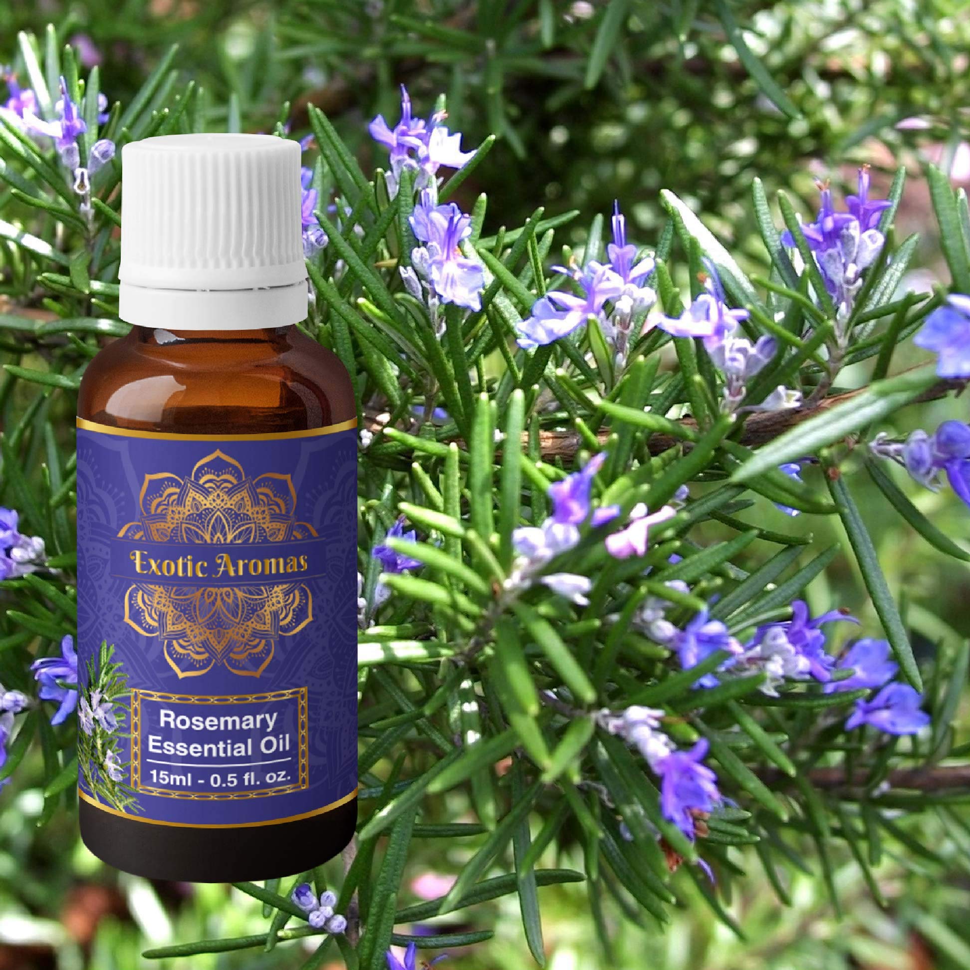 100% Pure Rosemary Essential Oil for Hair Growth & Scalp Care - Natural Hair Fall Control, Strengthens & Nourishes Hair - 2 Pack (15ml x 2) - Perfect for Aromatherapy, DIY Hair Masks & Scalp Massage