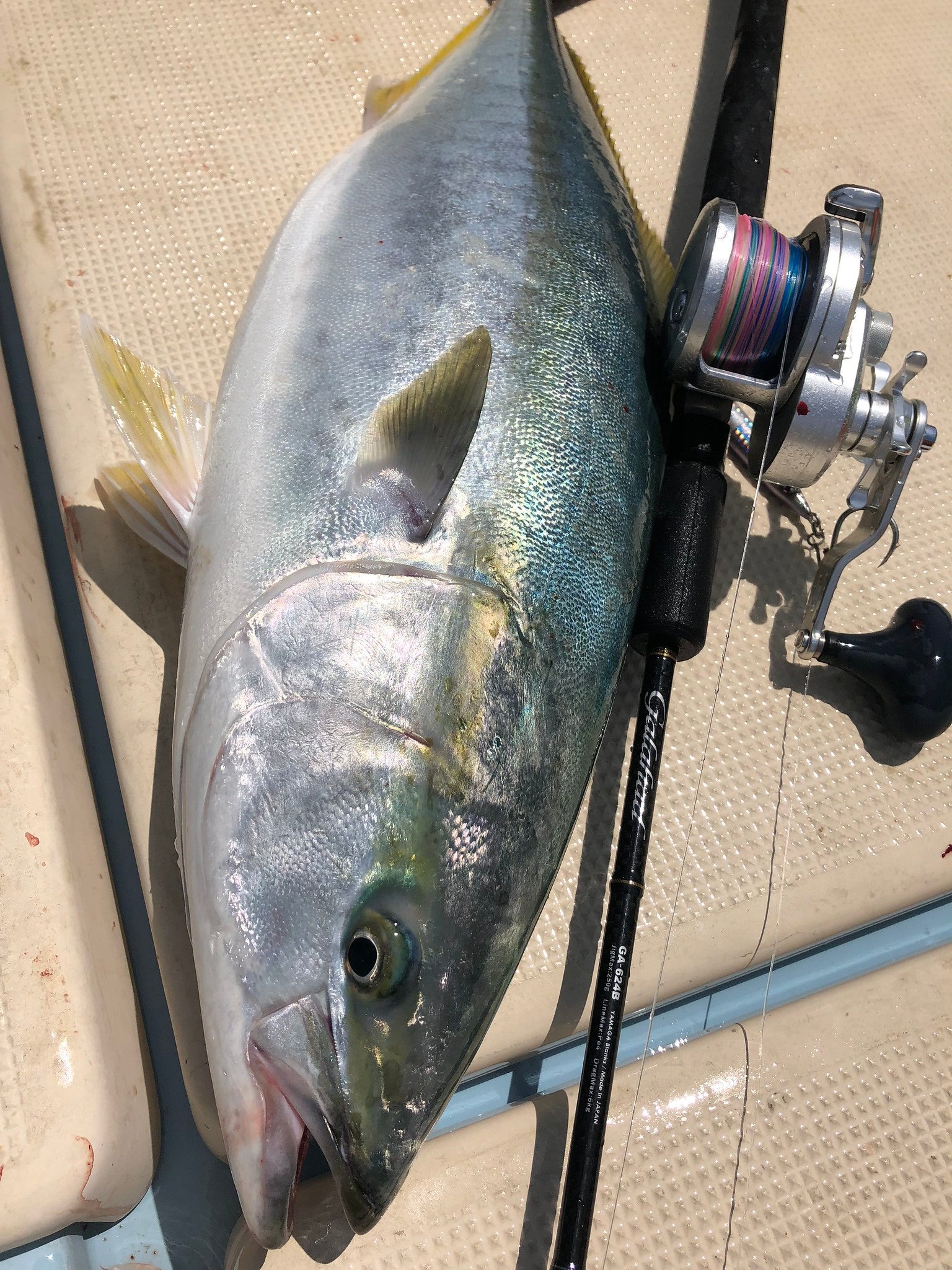 Yamaga Blanks Galahad Jigging Rods - Premium Saltwater Fishing Rod for Offshore & Deep Sea Angling | Perfect for Jigging, Trolling & Bottom Fishing