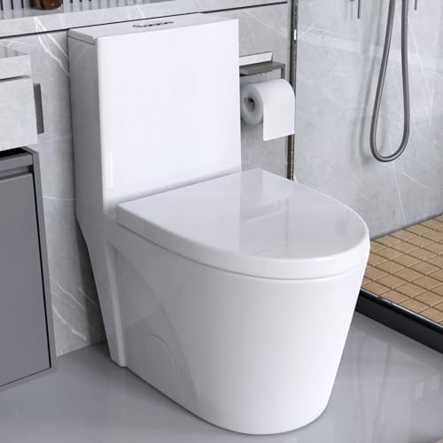 White(Dual Flush 01)