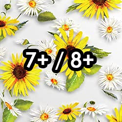 Sunflower Floral