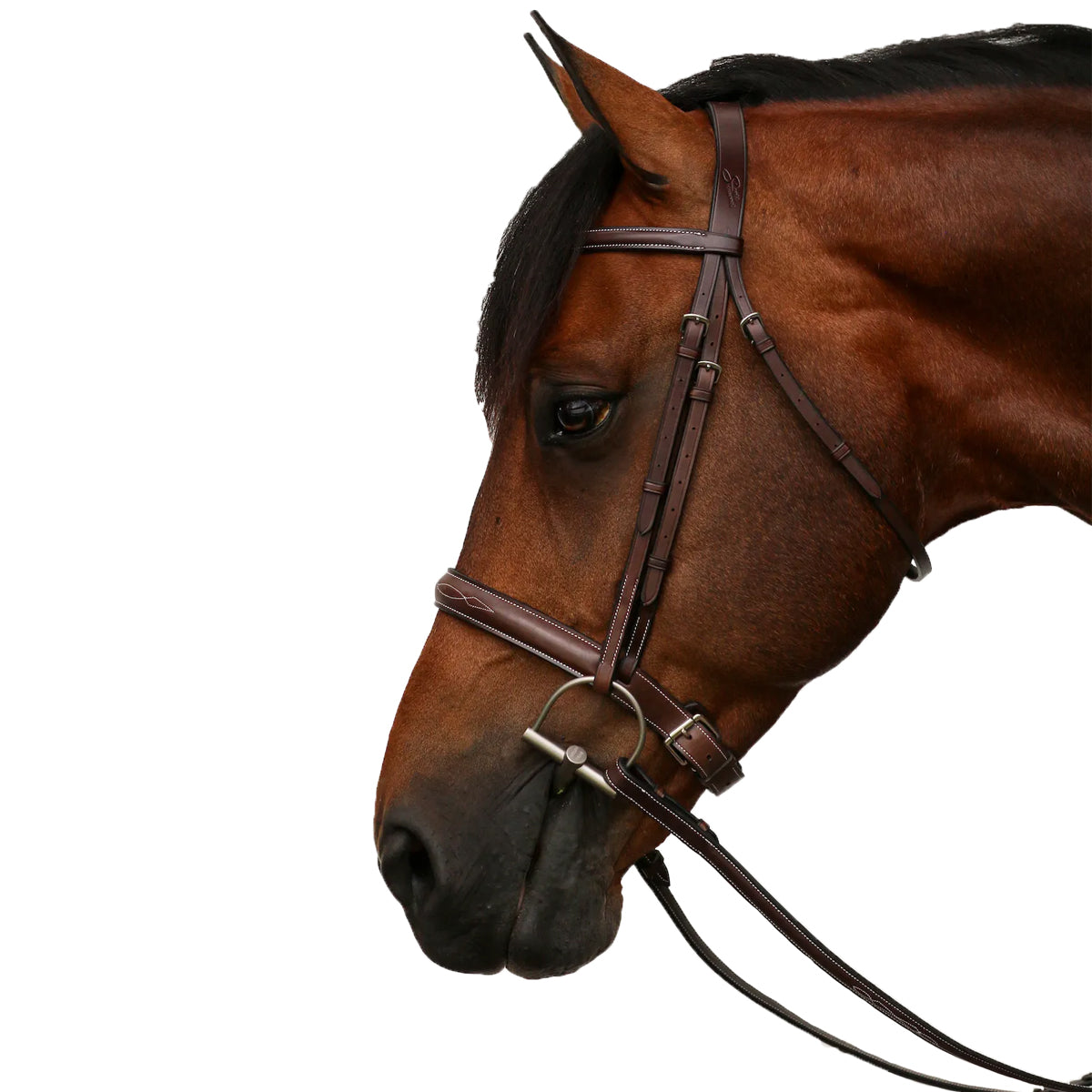 Equiline Scott Stewart Hunter Bridle – Premium English Riding Bridle for Show Jumping & Equestrian Competitions | Perfect for Training & Dressage