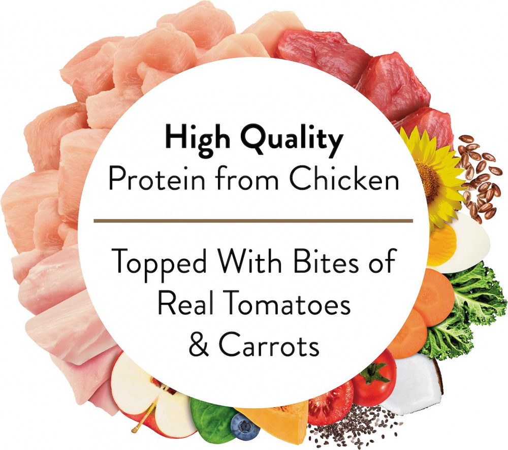 Nutro Ultra Grain-Free Chicken Entree Pate with Tomatoes & Carrots - Premium Wet Dog Food for Adult Dogs - High-Protein Meal for Healthy Skin & Coat - Perfect for Picky Eaters & Sensitive Stomachs