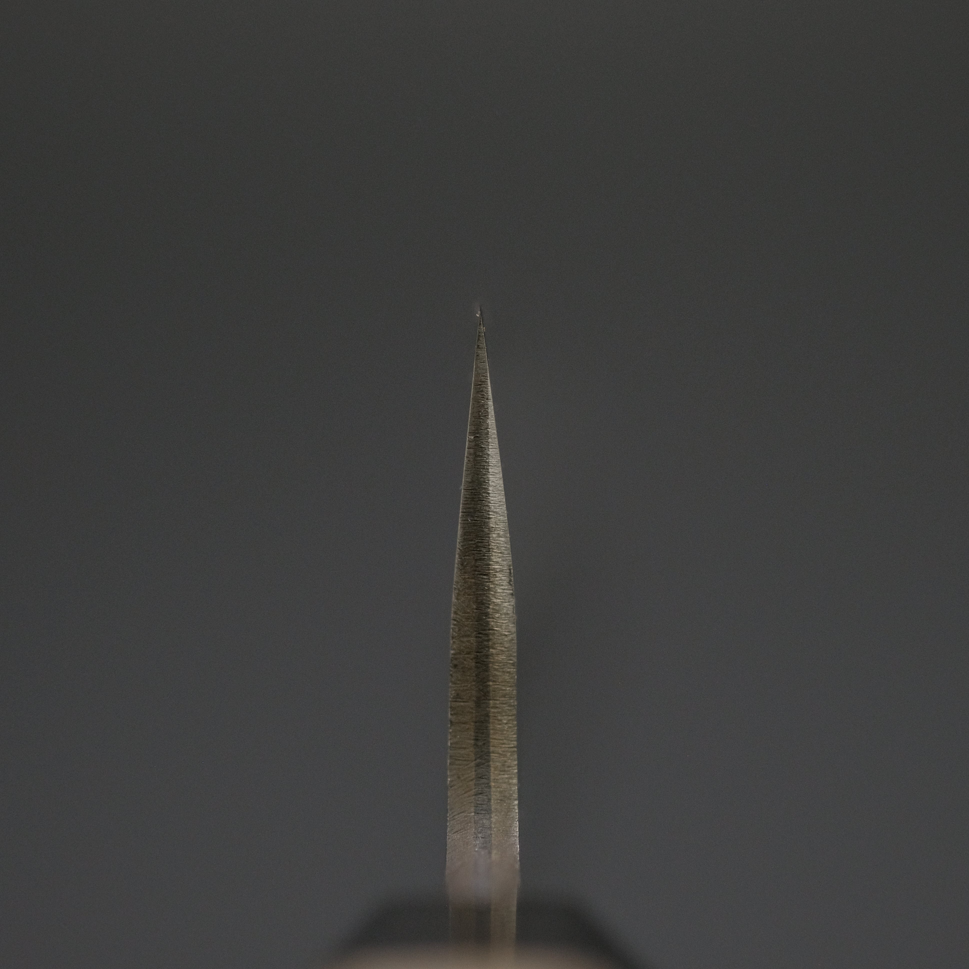 Premium Mutsumi Blue Super Kurouchi Tsuchime Sujihiki 270mm Japanese Chef Knife with Ho Wood Handle - Perfect for Slicing Sashimi, Meat & Sushi Preparation