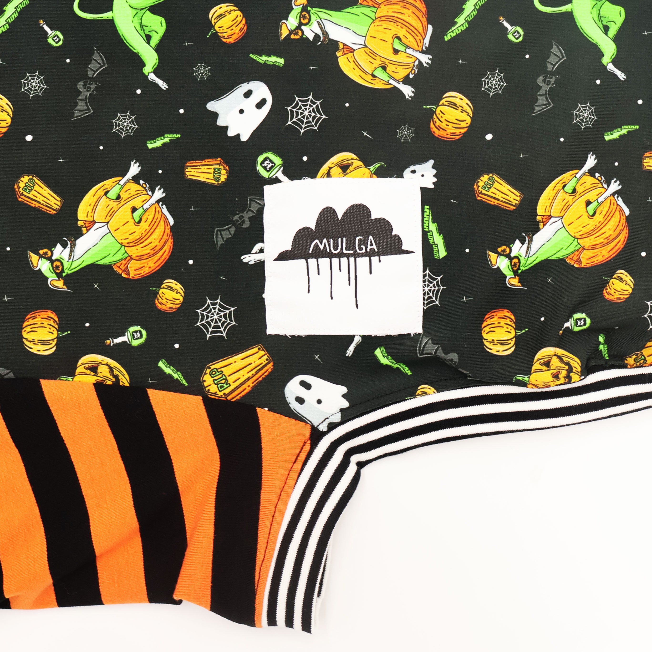 Pumpkin Head Whippet Dog Long Sleeve T-Shirt - Cute Hound Graphic Tee for Dog Lovers - Perfect for Halloween, Fall Outfits & Casual Wear