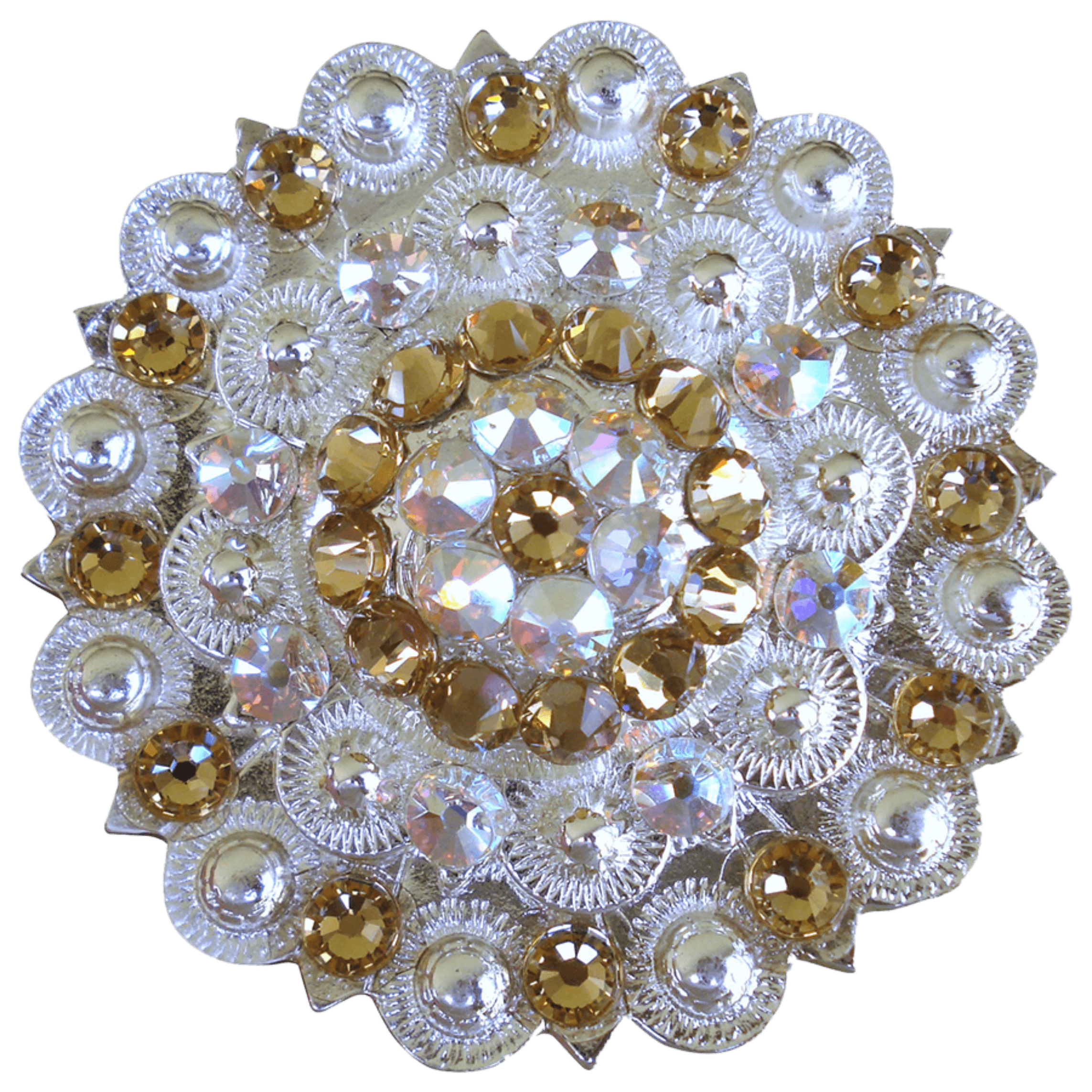 Bright Silver Champagne & AB Crystal Conchos - 1
