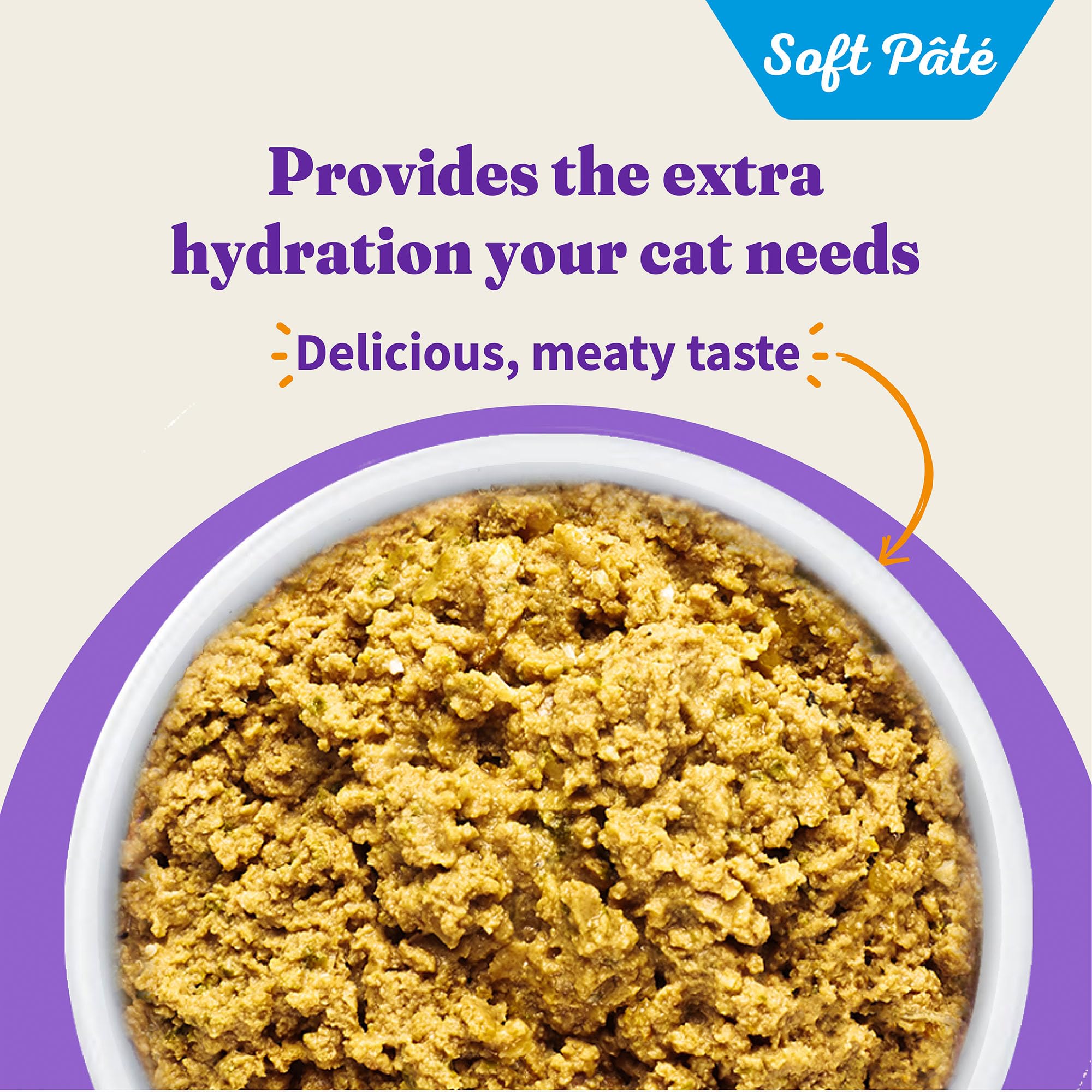 Premium Grain-Free Wet Cat Food - Halo Whole Salmon Stew Recipe Pate for Extra Hydration, 5.5oz Cans (Pack of 12) - High Protein Moist Cat Food for Adult & Senior Cats - Perfect for Picky Eaters & Hydration Support