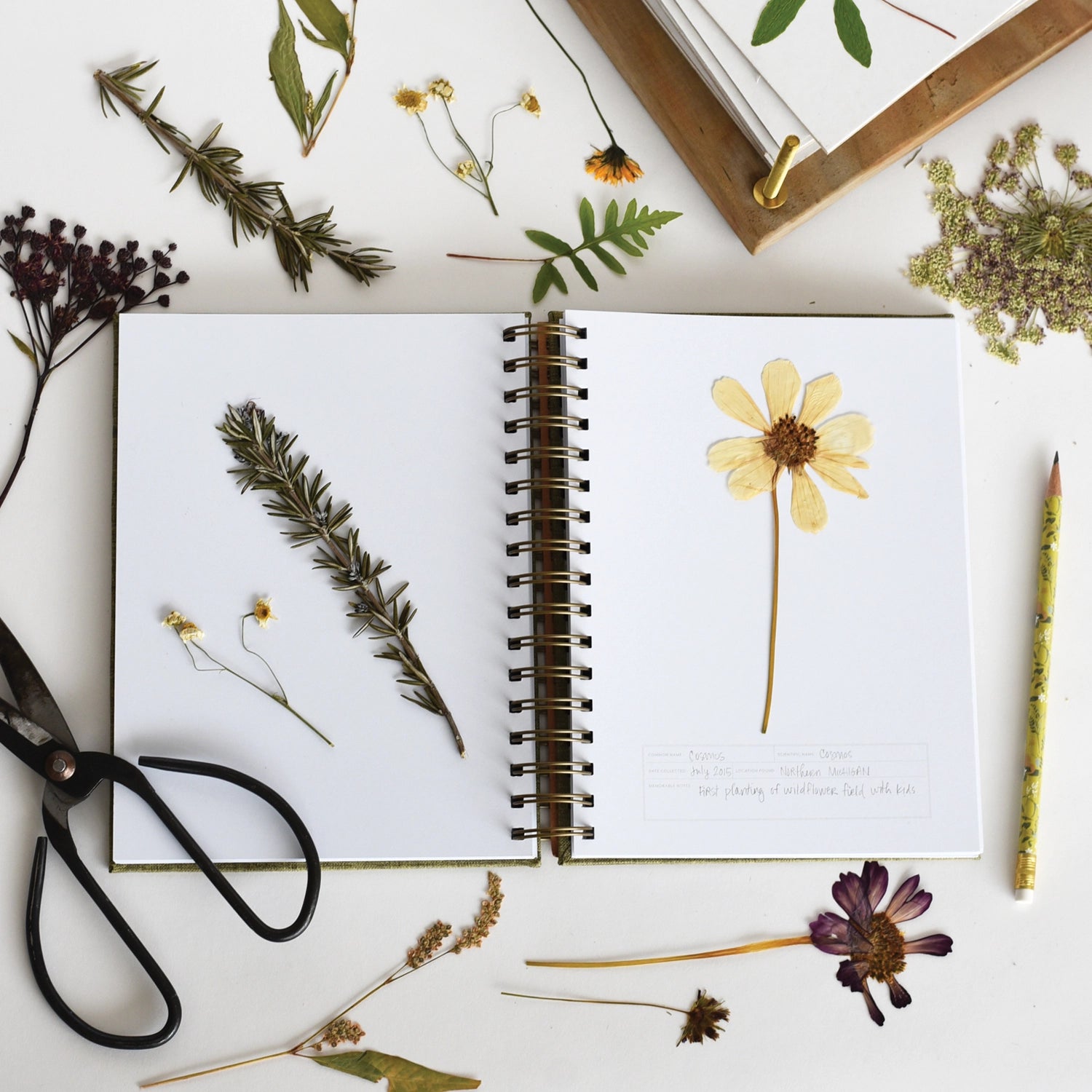 Herbarium Journal - Botanical Pressed Flower Diary for Nature Lovers, Plant Collectors & Artists | Perfect for Nature Journaling, Scrapbooking & DIY Crafts