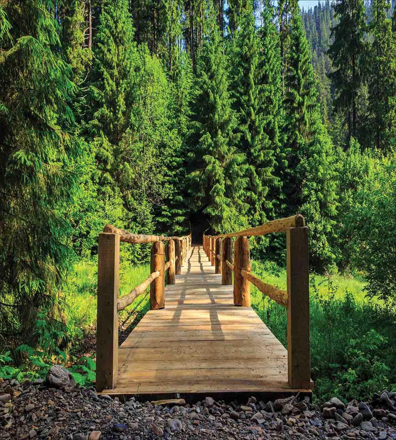 Ambesonne Landscape Duvet Cover Set - Wooden Bridge in Pine Forest Summer Scene | Twin Size 2-Piece Bedding Set with 2 Duvet Covers & 2 Pillowcases | Green & Pale Brown Nature Theme | Perfect for Cozy Bedrooms, Guest Rooms & Vacation Cabins