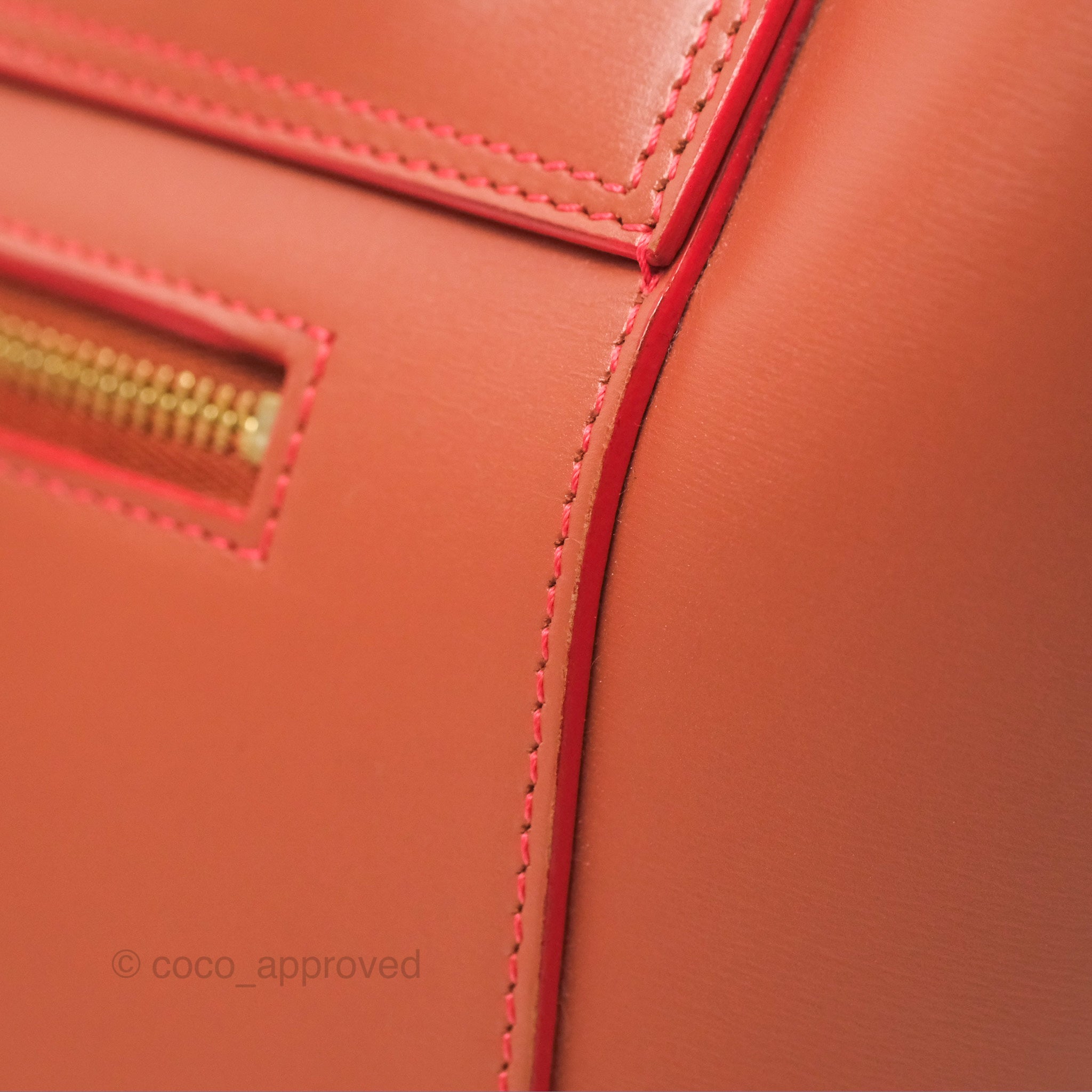 Celine Micro Belt Bag in Terracotta | Smooth Leather with Gold Hardware | Perfect for Work, Travel & Everyday Use