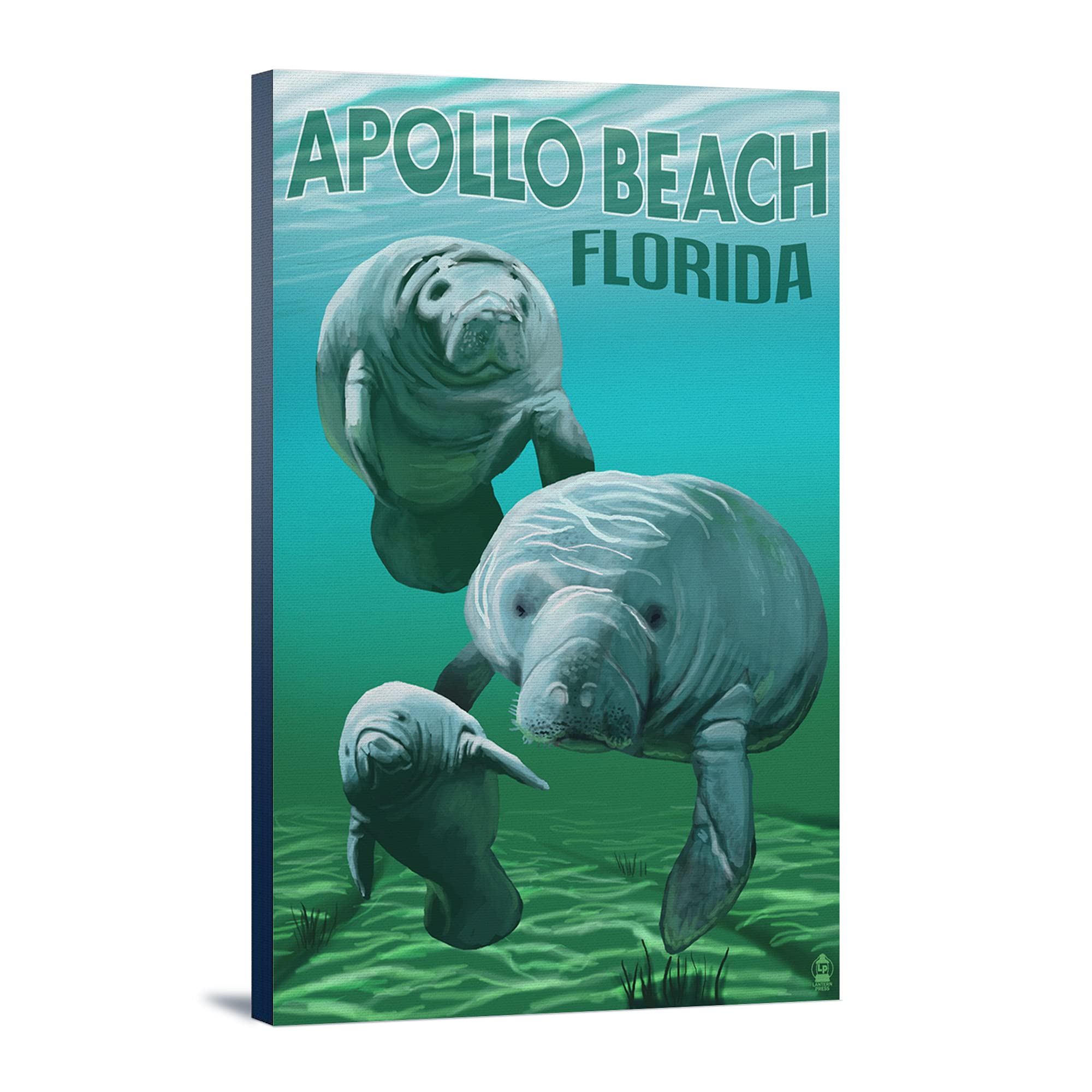 24x36 Gallery Wrapped Stretched Canvas Print - Florida Manatees at Apollo Beach - Perfect for Living Room, Bedroom or Office Wall Decor