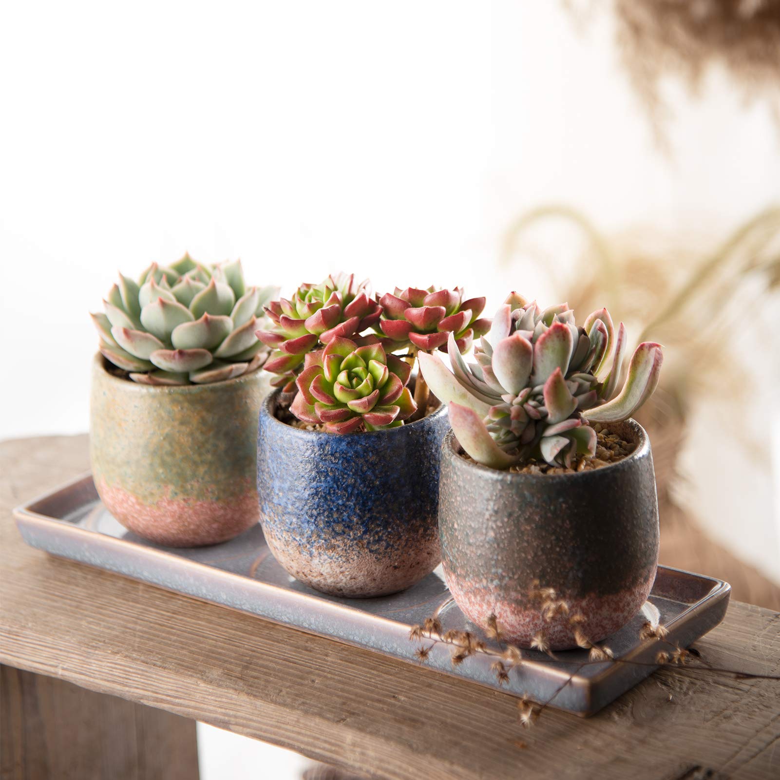 3 Inch Ceramic Succulent Planter Pot with Drain Hole & Saucer - Small Flower Pots for Indoor/Outdoor Plants, Cactus, Herbs | Perfect for Home Decor, Office Desk, Garden & Gift Ideas