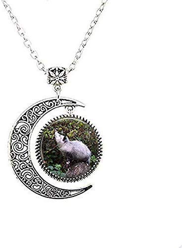 Opossum Moon Necklace - Unique Wildlife Jewelry Gift for Women, Sterling Silver Pendant, Nature Inspired Jewelry - Perfect for Outdoor Enthusiasts & Animal Lovers