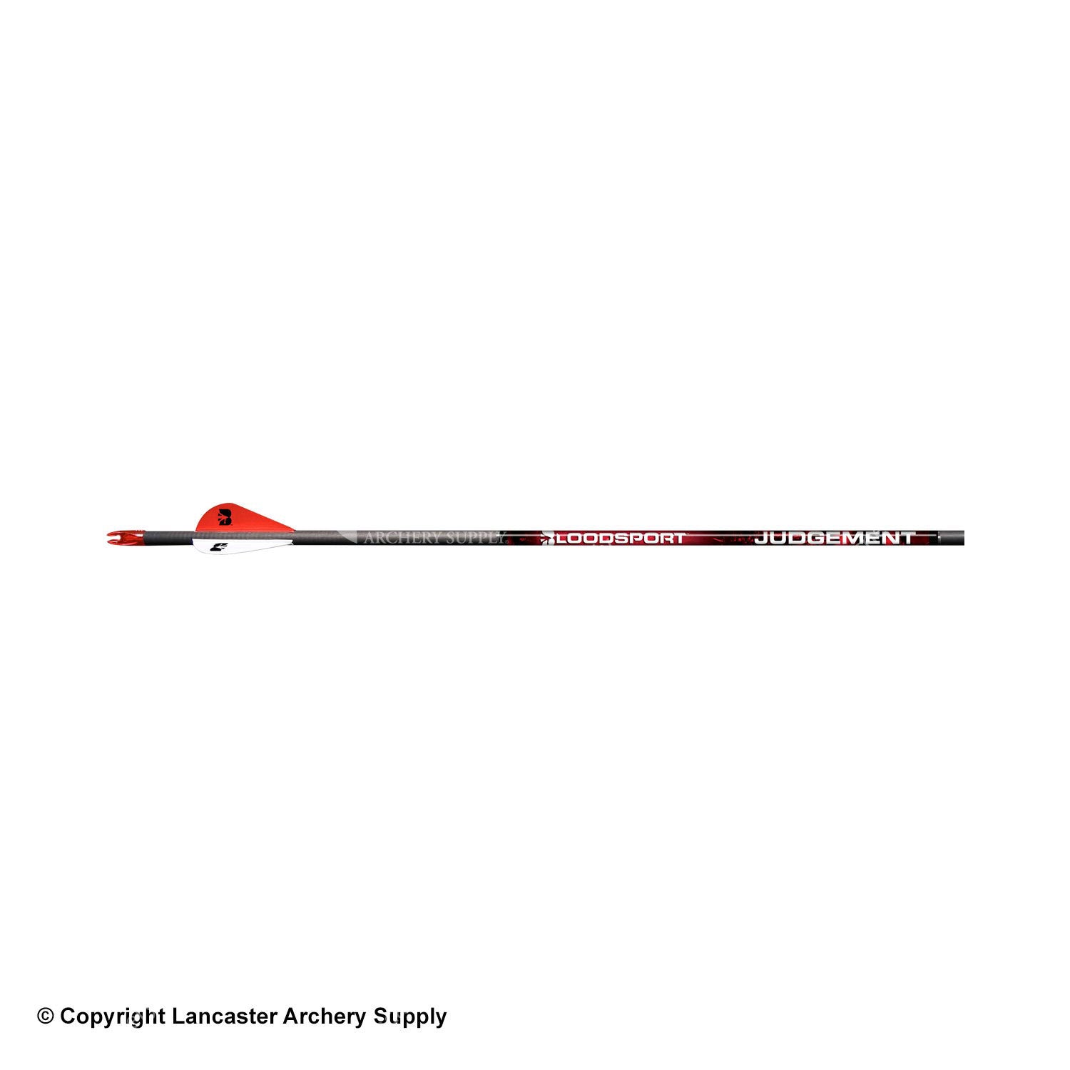 Bloodsport Judgement Fletched Arrows - Carbon Hunting Arrows for Compound & Recurve Bows - Perfect for Target Practice & Outdoor Hunting Adventures