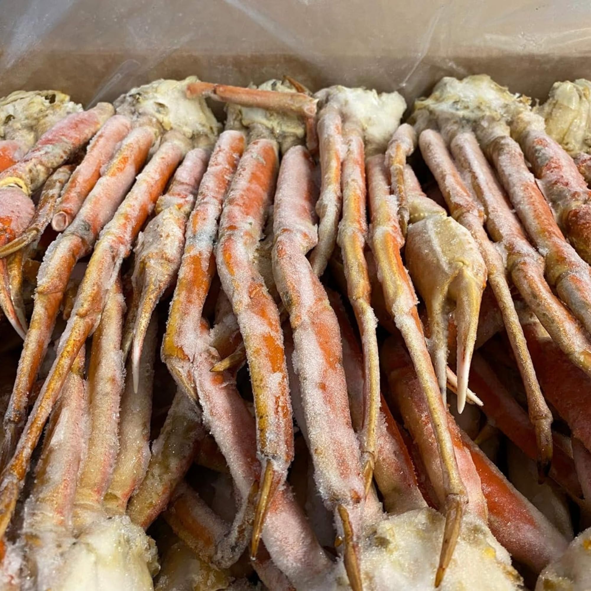 Premium Snow Crab Legs Clusters (5lbs, 8oz-10oz per Cluster) - Today Gourmet Foods of NC - Fresh Seafood for Grilling, Steaming & Special Occasions