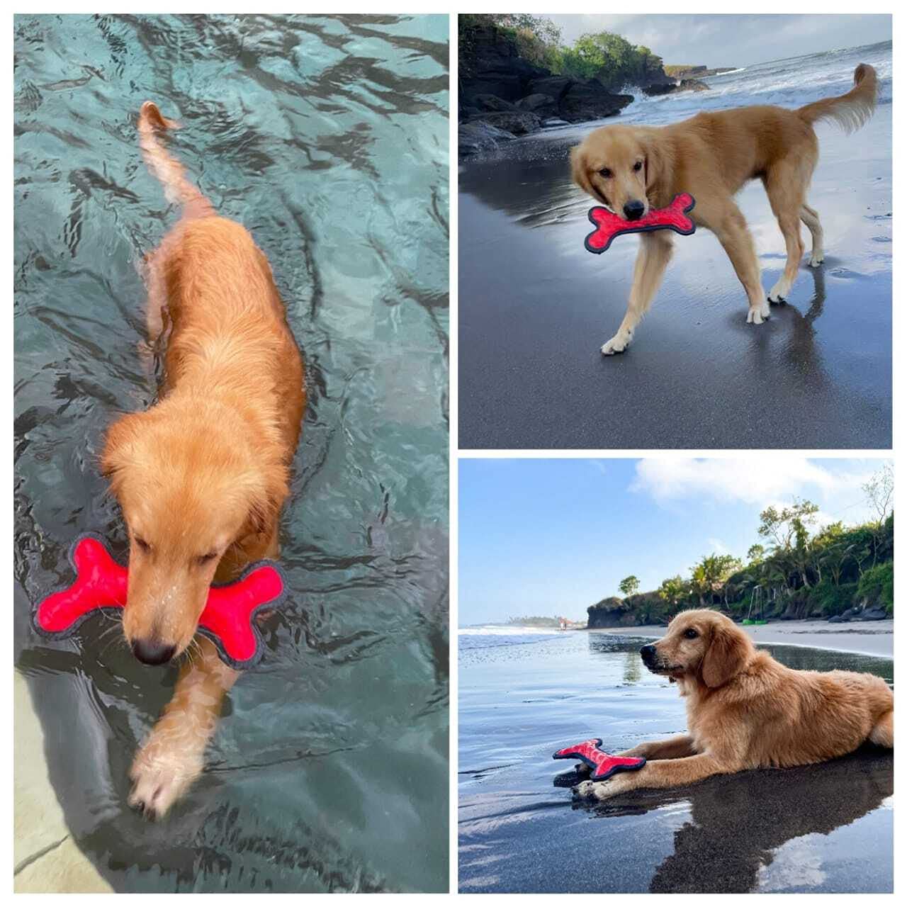 SuperChewy Tough Floating Dog Water Toy - Durable Natural Rubber Fetch Toy for Swimming & Training | Pool, Lake & Beach Fun for Puppies & Non-Aggressive Chewers | Perfect Outdoor Water Play Toy for Dogs