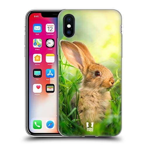 Little Easter Rabbit