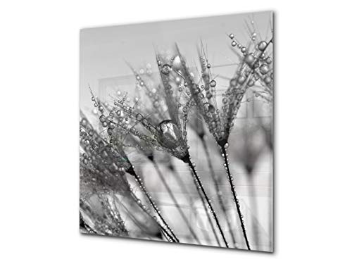 Dandelion Flower 1
