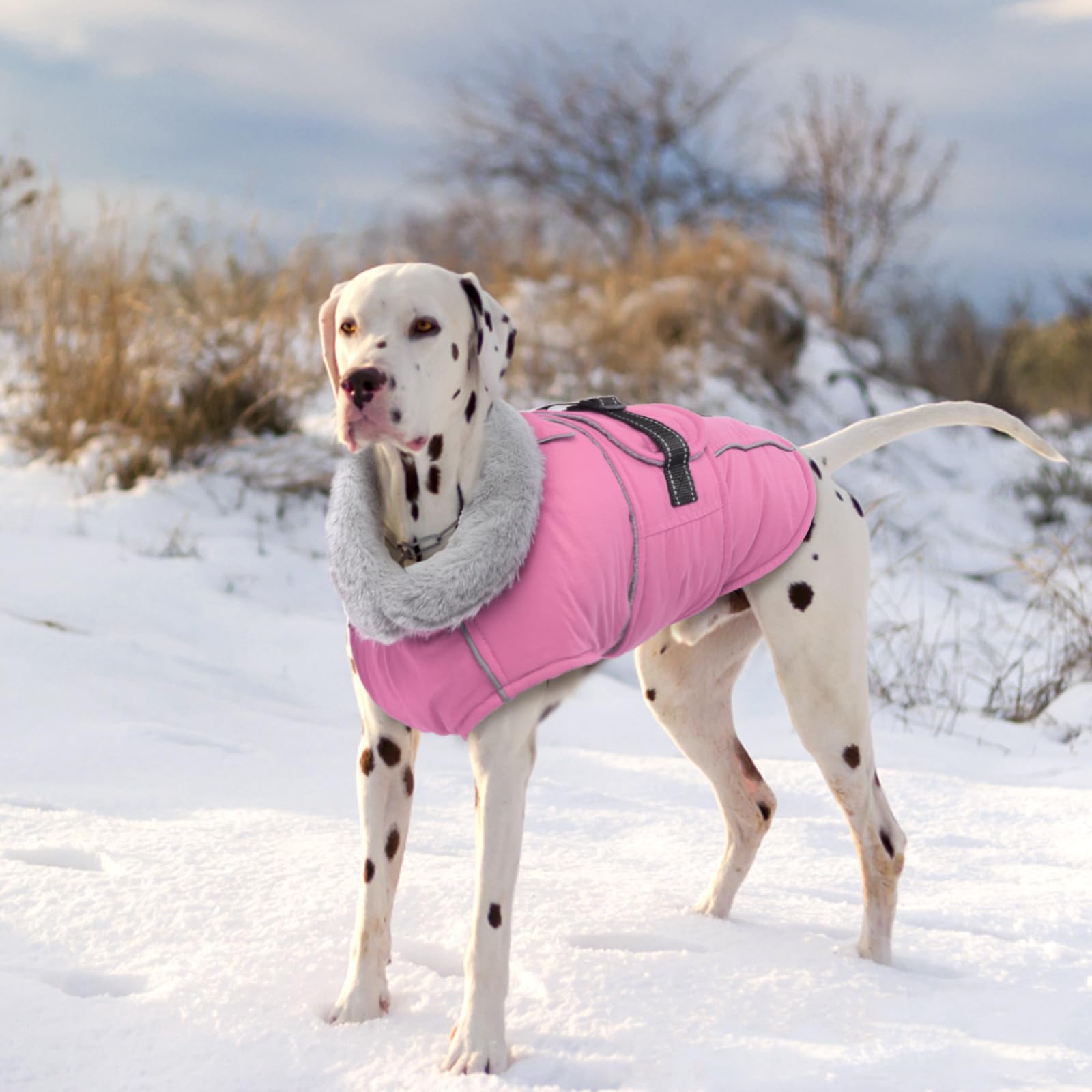 Lelepet Reflective Waterproof Dog Jacket - Windproof Fleece-Lined Winter Coat with Adjustable Buckle for Large Dogs (XL) - Perfect for Snowy Walks & Cold Weather Protection