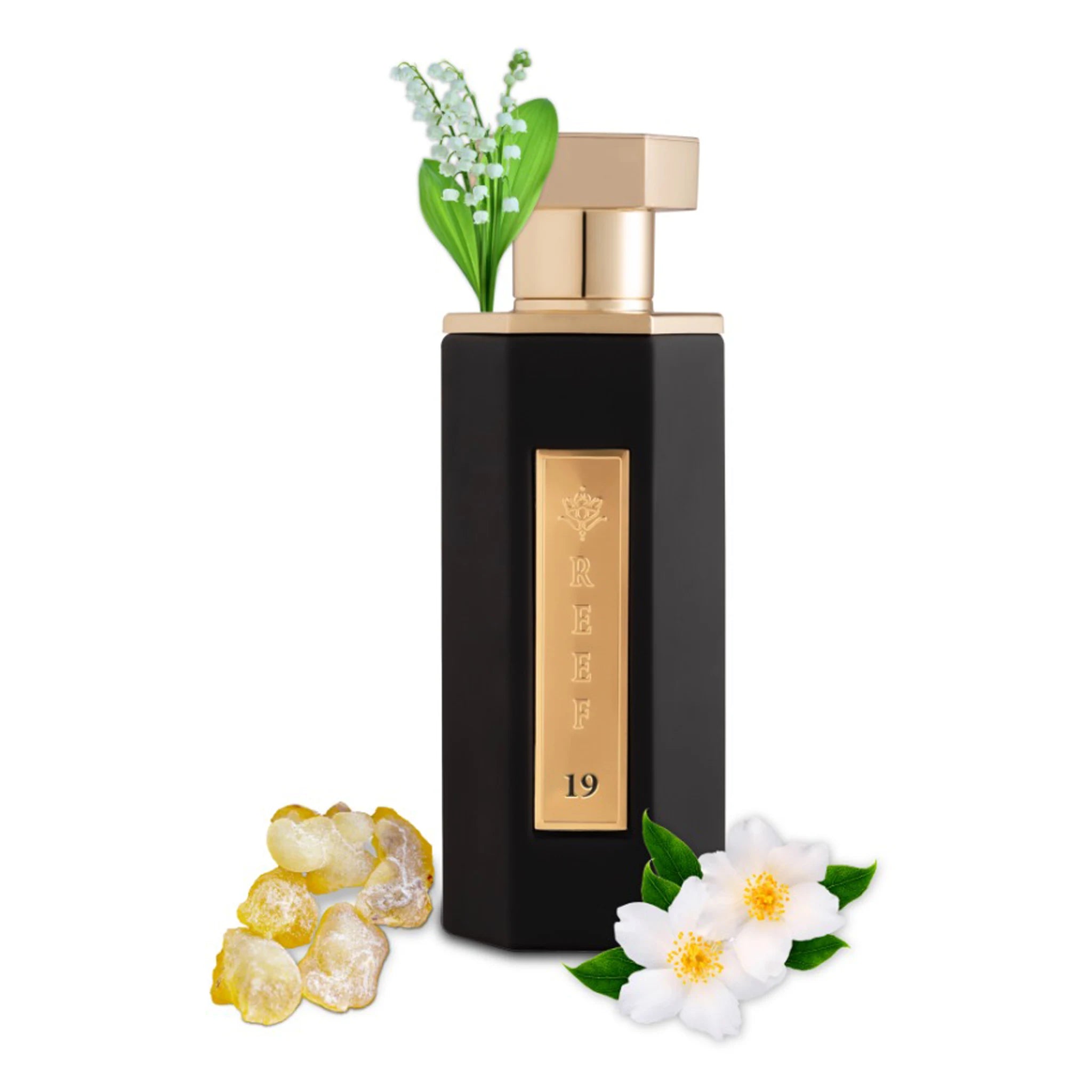 REEF 19 Eau De Parfum for Women & Men - 3.4oz/100ml Luxury Long-Lasting Fragrance - Perfect for Date Night, Office & Special Occasions