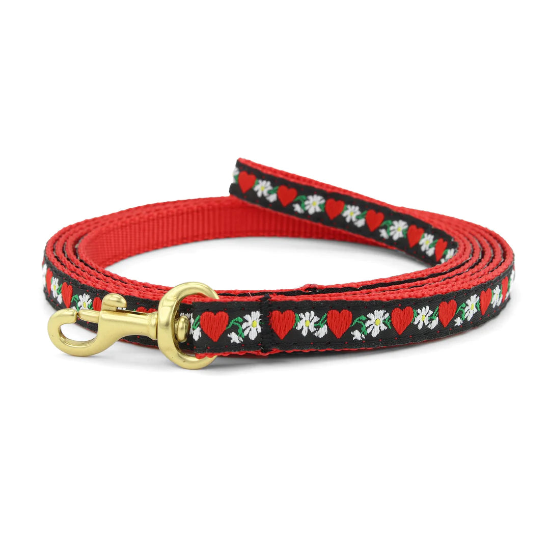 Hearts & Flowers Dog Leash - Cute Floral Pattern Pet Lead for Small & Medium Dogs - Perfect for Walks, Training & Outdoor Adventures