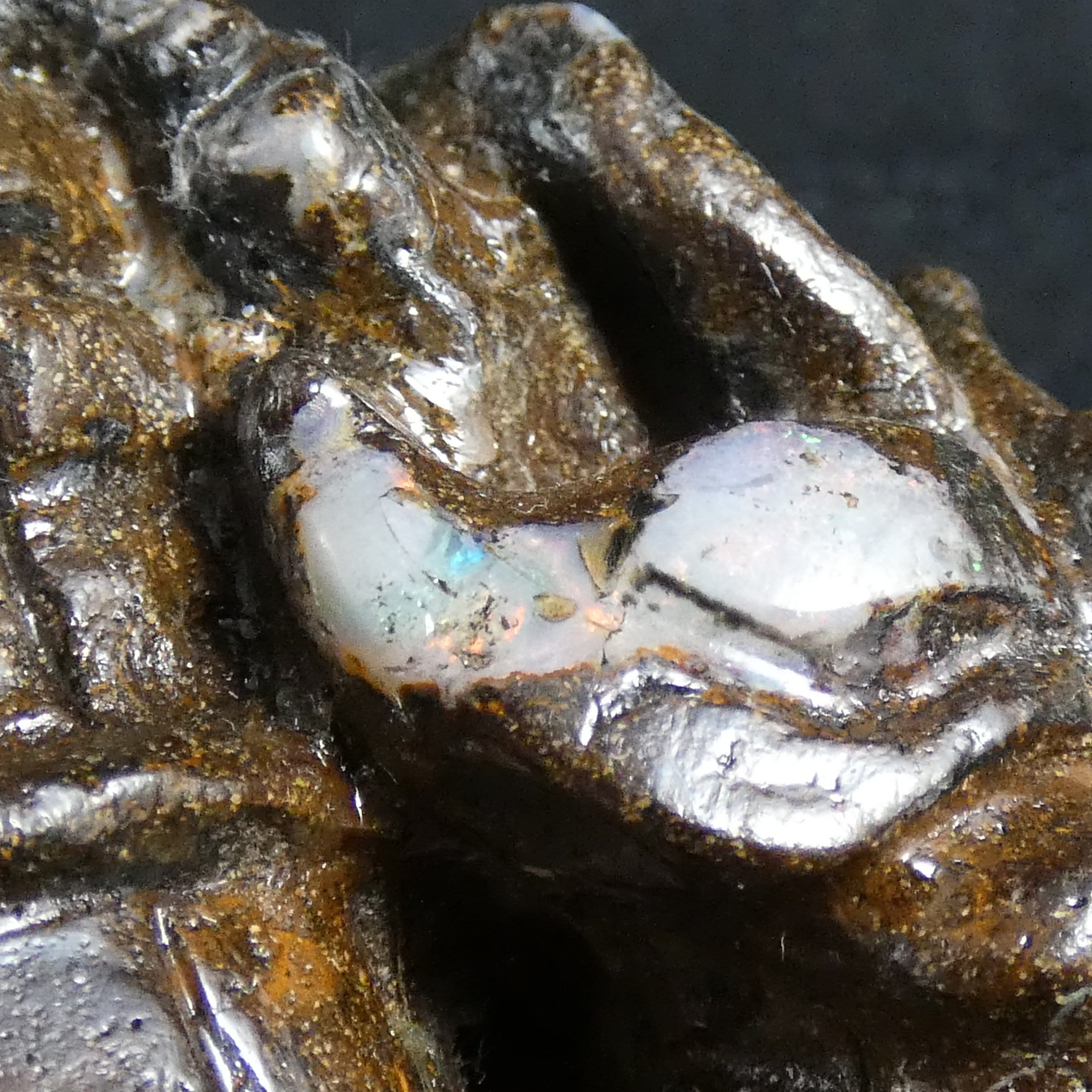 Exquisite Boulder Opal Fox Carving - Handcrafted Gemstone Animal Sculpture for Home Decor, Gift & Crystal Collection | Perfect for Feng Shui, Meditation & Spiritual Healing
