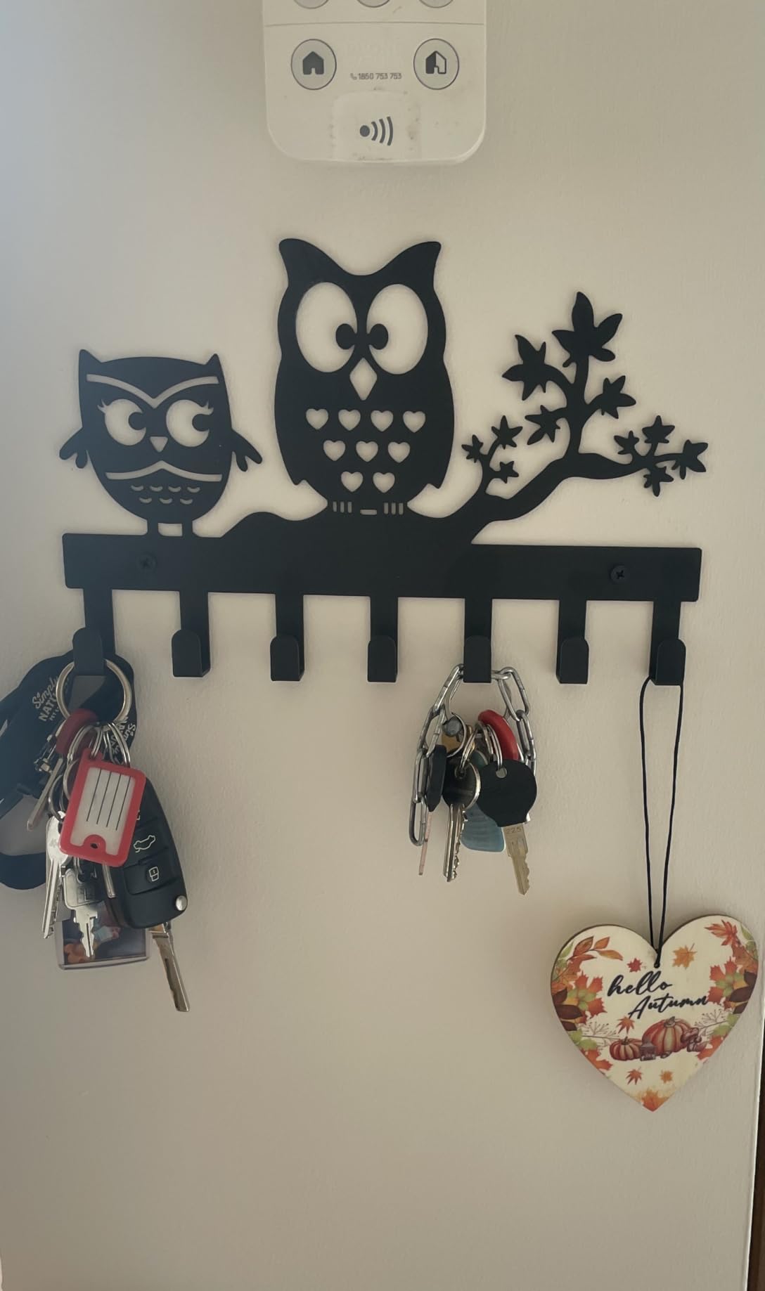 FairyCity Metal Owl Key Holder Wall Mount - 27cm x 17cm Key Organizer with 7 Hooks, Black - Perfect for Entryway, Bedroom, or Office Key Storage and Home Decor