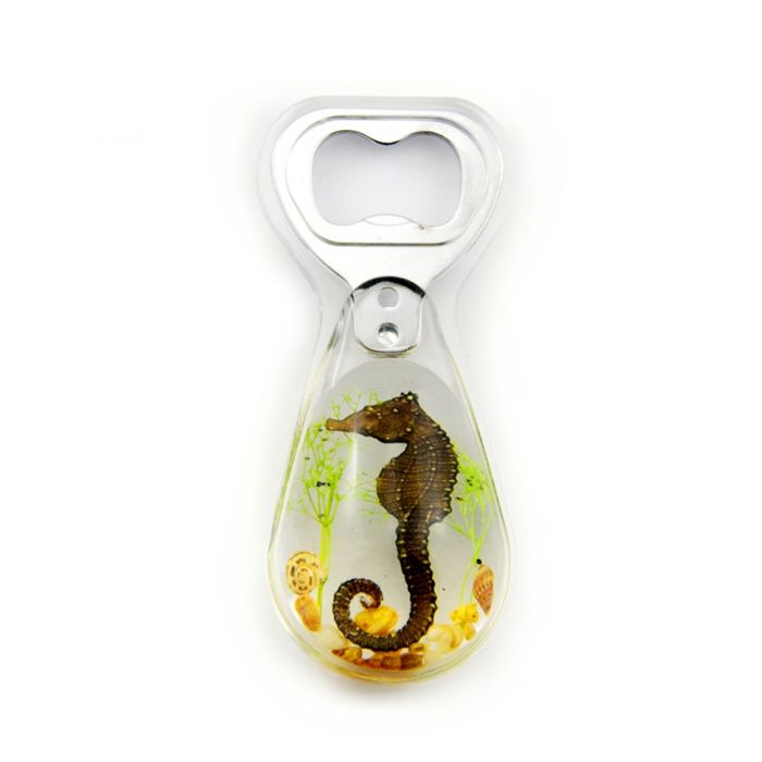 Real Seahorse in Acrylic Bottle Opener - Unique Marine Life Collectible & Functional Gift for Beer Lovers, Home Bar Decor, Beach House Accessory